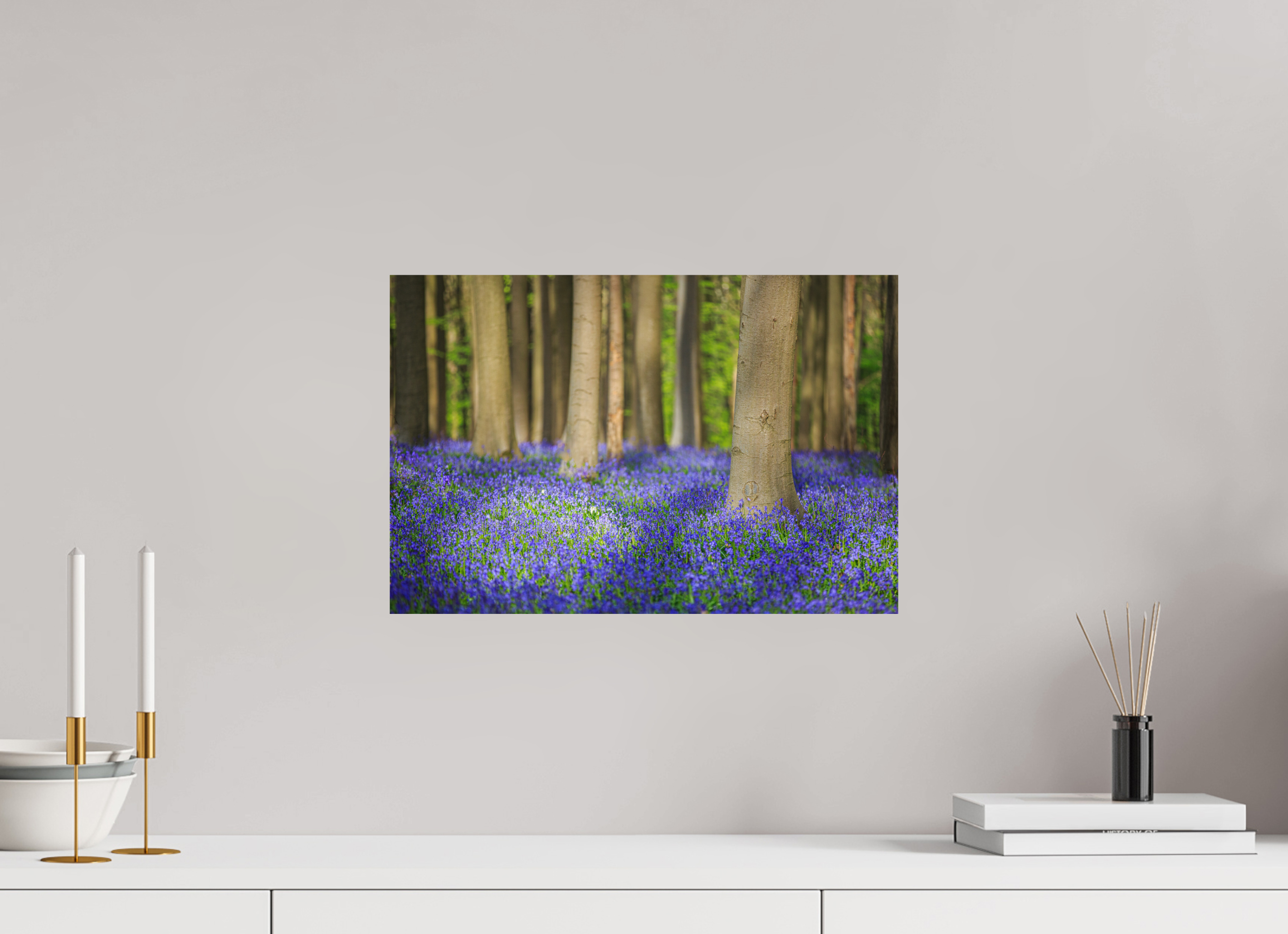 45 x 30 cm, Photo Print On Fuji Crystal DP II Mystischer Frühlingswald – Tanz des Lichts über blauem Blütenmeer