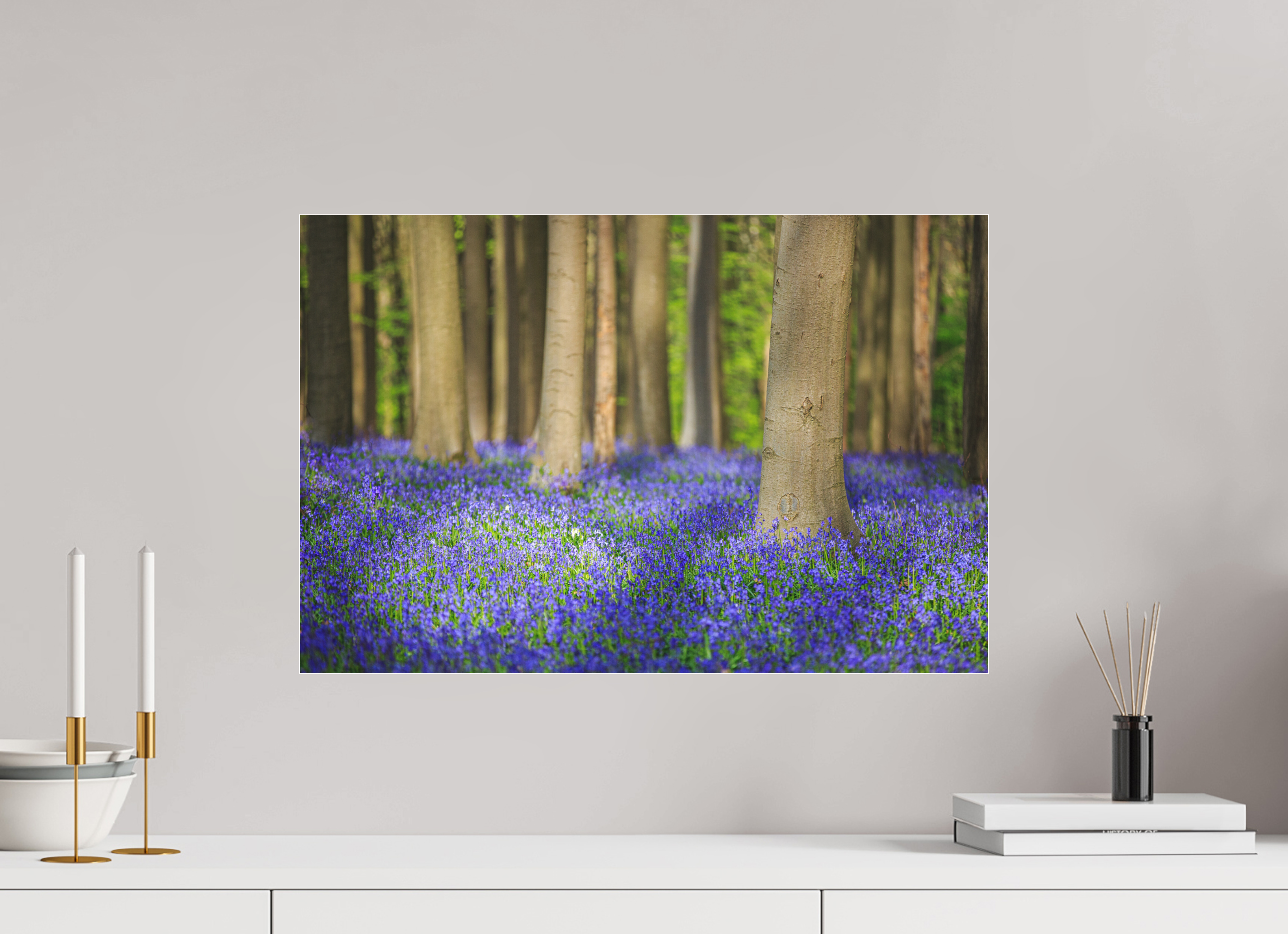 60 x 40 cm, Foto-Abzug hinter Acrylglas 3 mm matt Mystischer Frühlingswald – Tanz des Lichts über blauem Blütenmeer