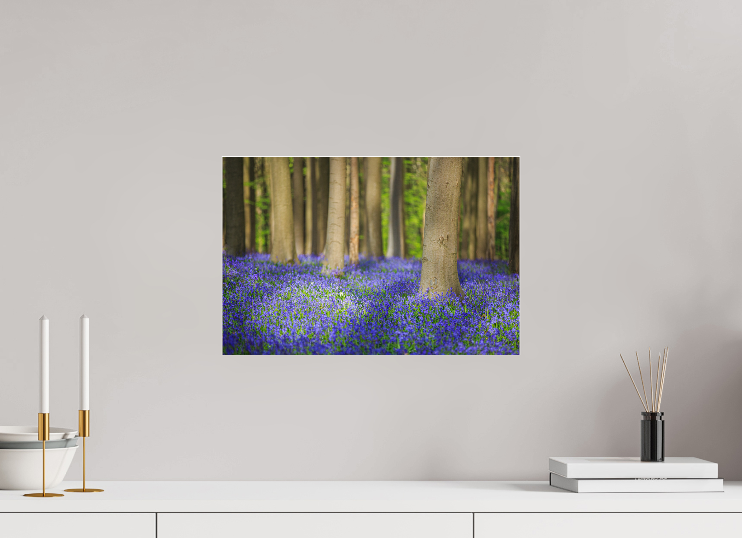 45 x 30 cm, Foto-Abzug Acrylglas 4 mm glänzend Mystischer Frühlingswald – Tanz des Lichts über blauem Blütenmeer