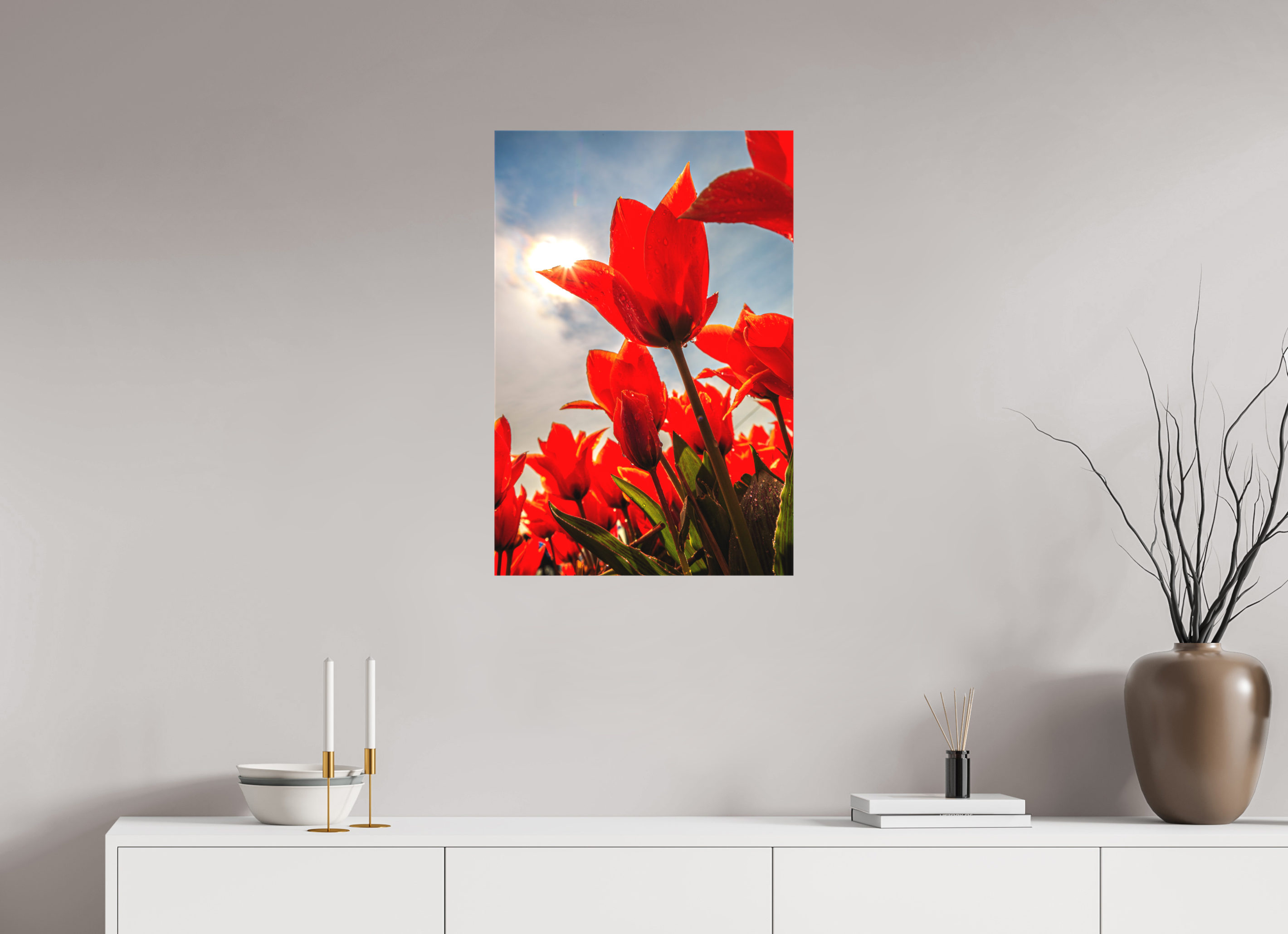 50 x 75 cm, Foto-Leinwand matt Leuchtende Kelche: Offene Tulpen im Sonnenlicht