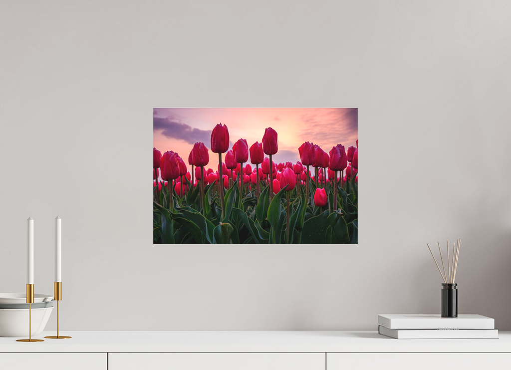 45 x 30 cm, Foto-Abzug hinter Acrylglas 3 mm matt Glutrot am Horizont: Magie des Tulpenfelds im Abendlicht