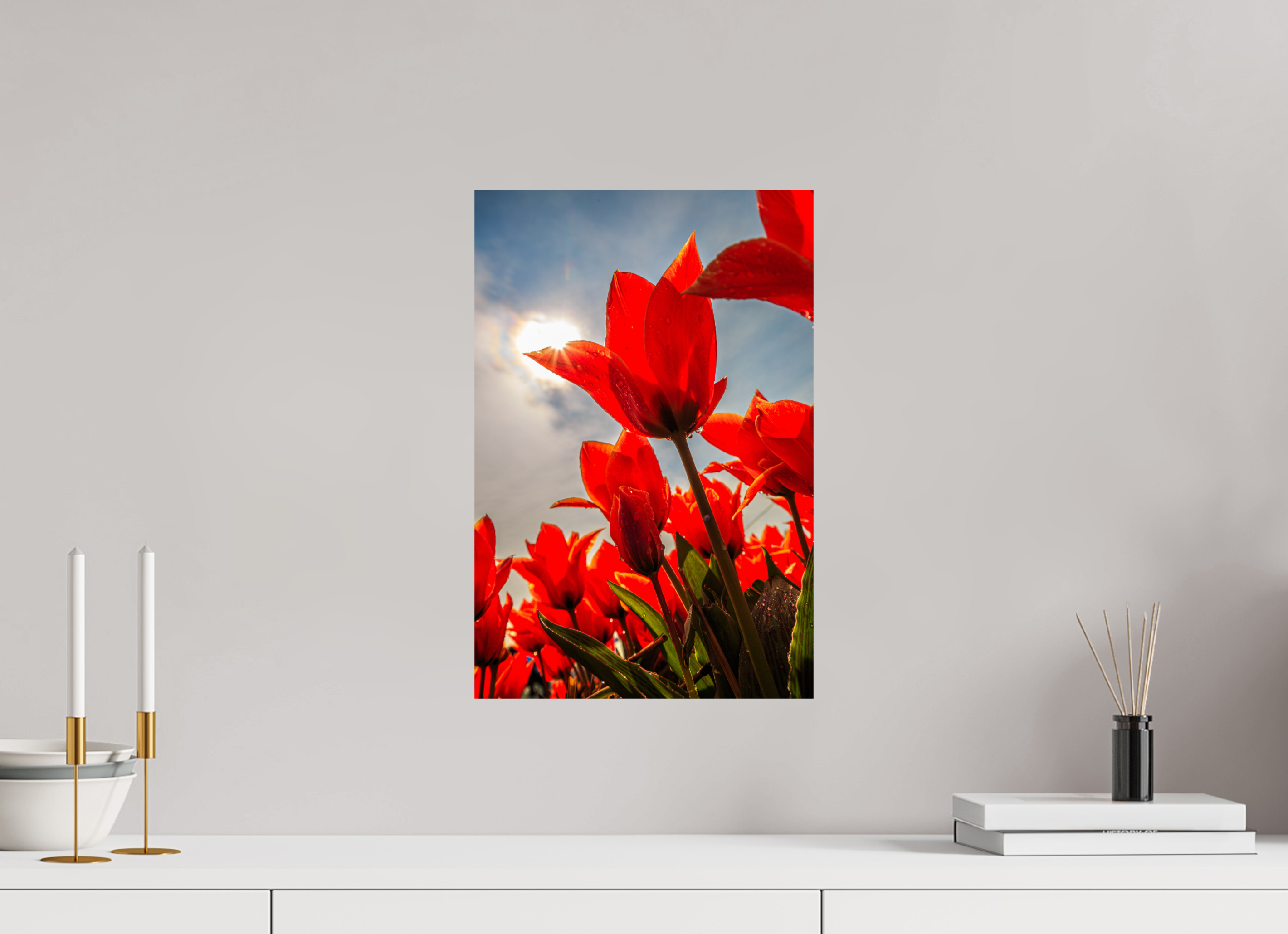 30 x 45 cm, Photo Print On Fuji Crystal DP II Leuchtende Kelche: Offene Tulpen im Sonnenlicht