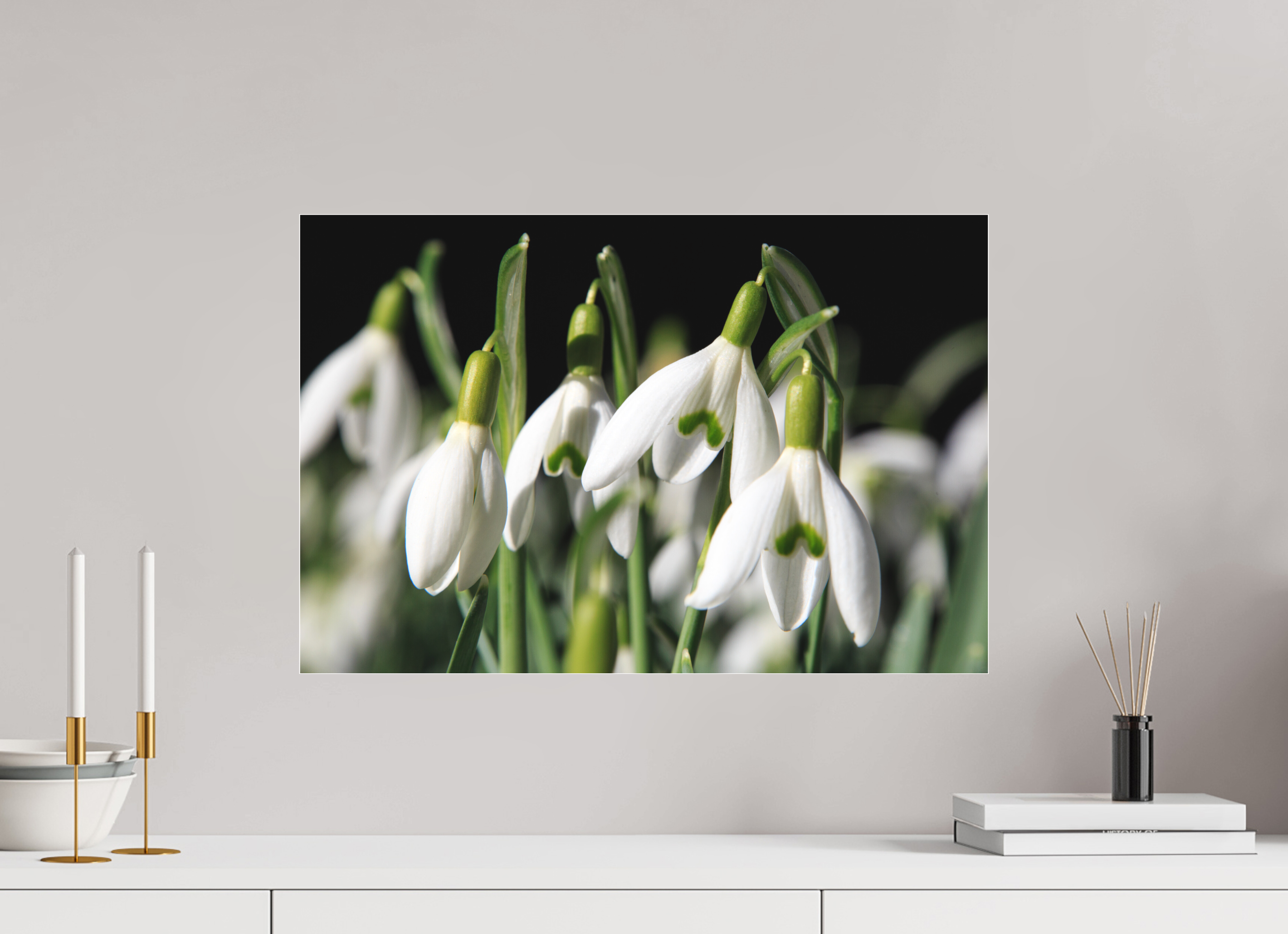 60 x 40 cm, Foto-Abzug hinter Acrylglas 3 mm matt Schneeglöckchen – Erste Frühlingsboten