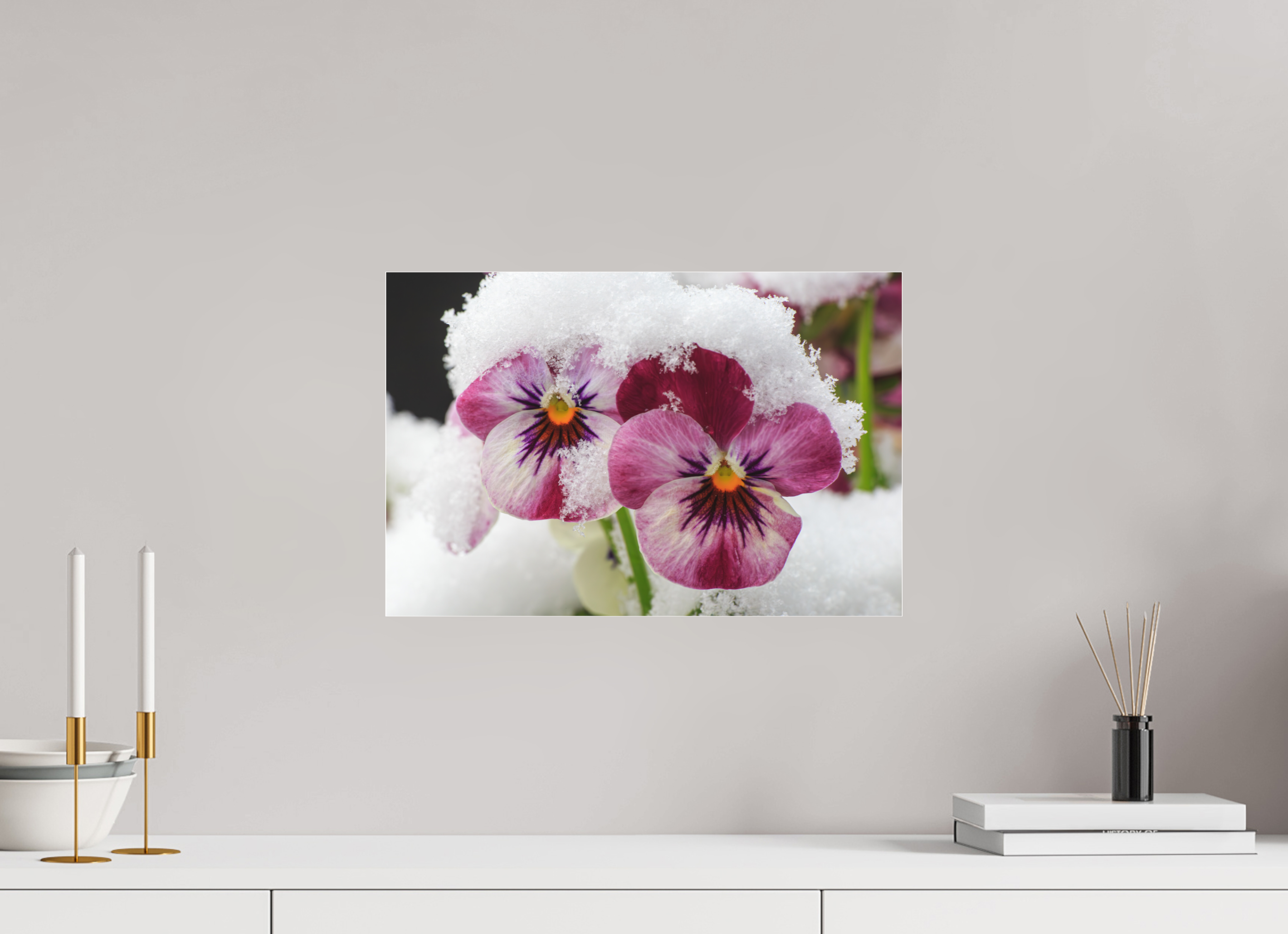 45 x 30 cm, Foto-Abzug hinter Acrylglas 3 mm matt Winterzauber: Veilchenblüte mit glitzernden Eiskristallen