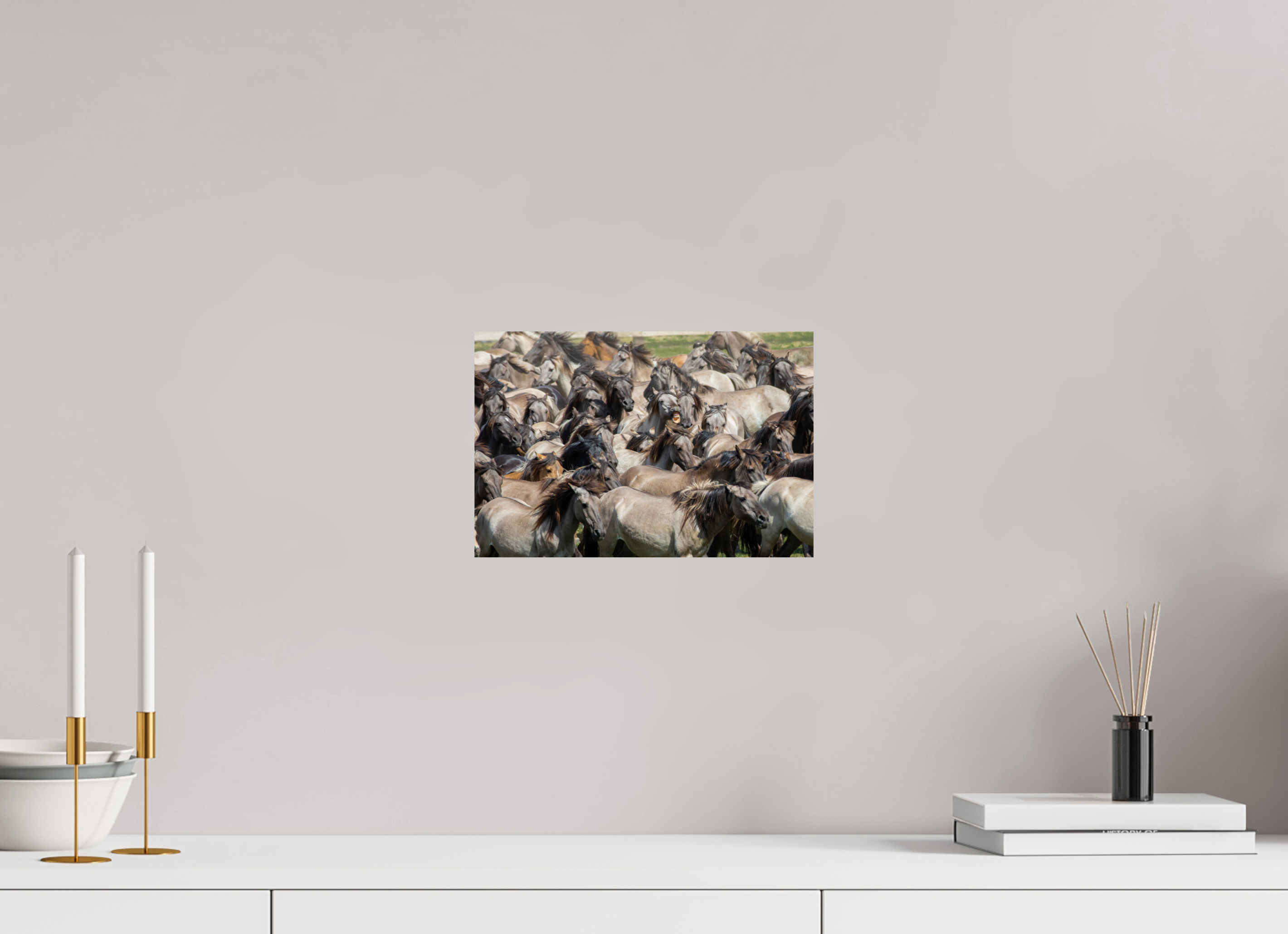 30 x 20 cm, Photo Print On Fuji Crystal DP II Wieherndes Wildpferd