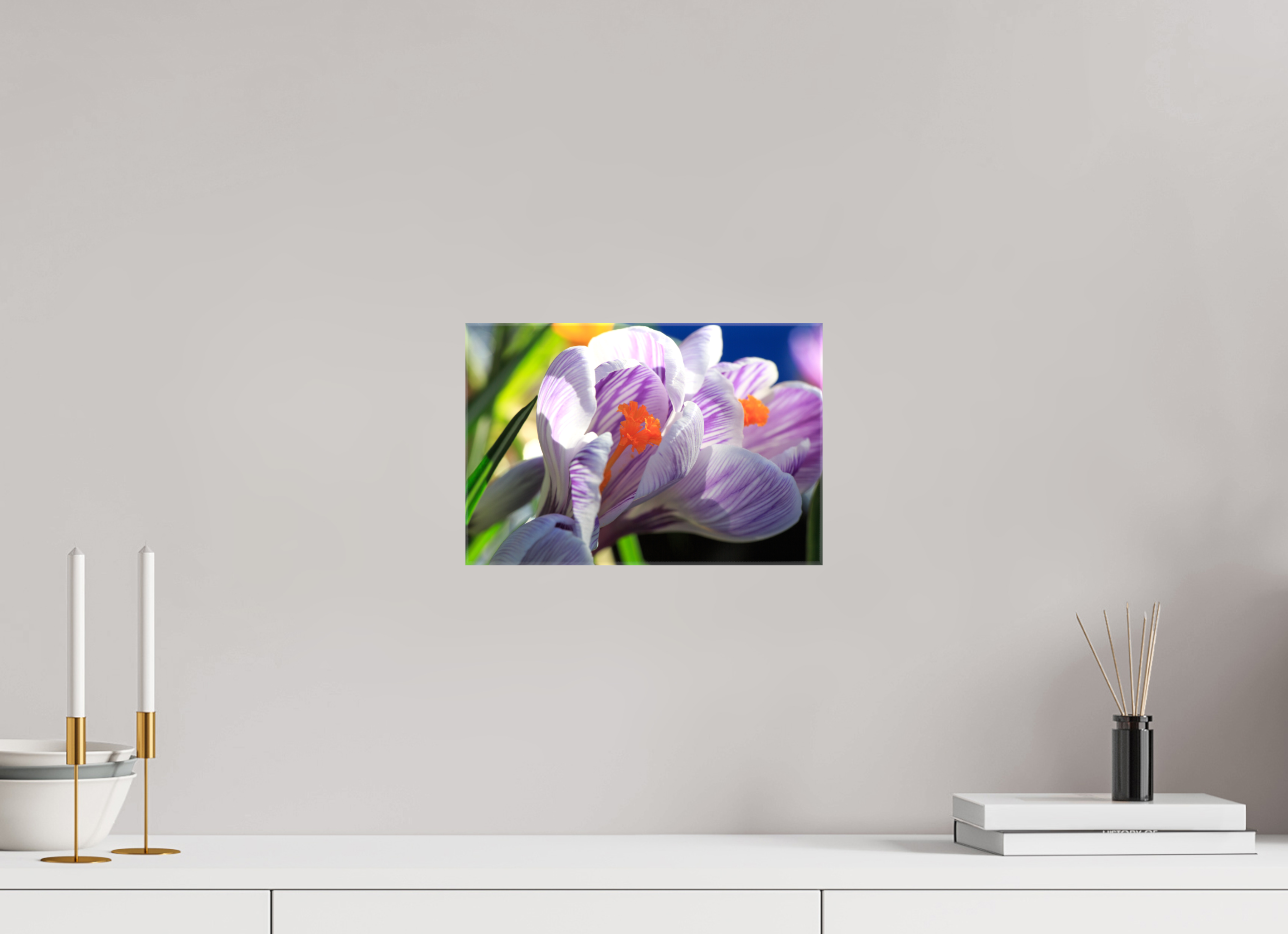 30 x 20 cm, Foto Leinwand glänzend Im Sonnenkuss: Krokusblüte im leuchtenden Lichtspiel