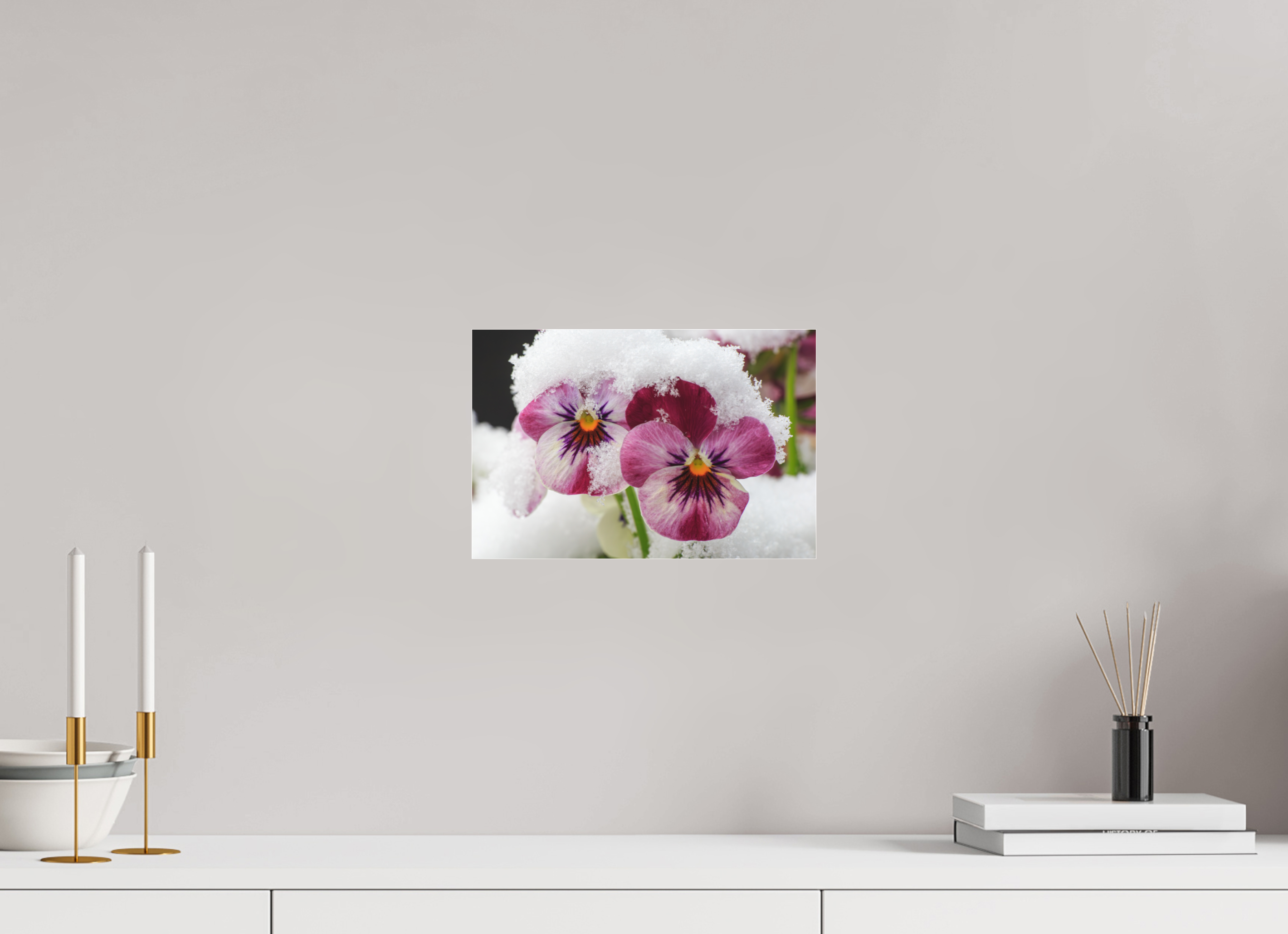 30 x 20 cm, Foto-Abzug hinter Acrylglas 3 mm matt Winterzauber: Veilchenblüte mit glitzernden Eiskristallen