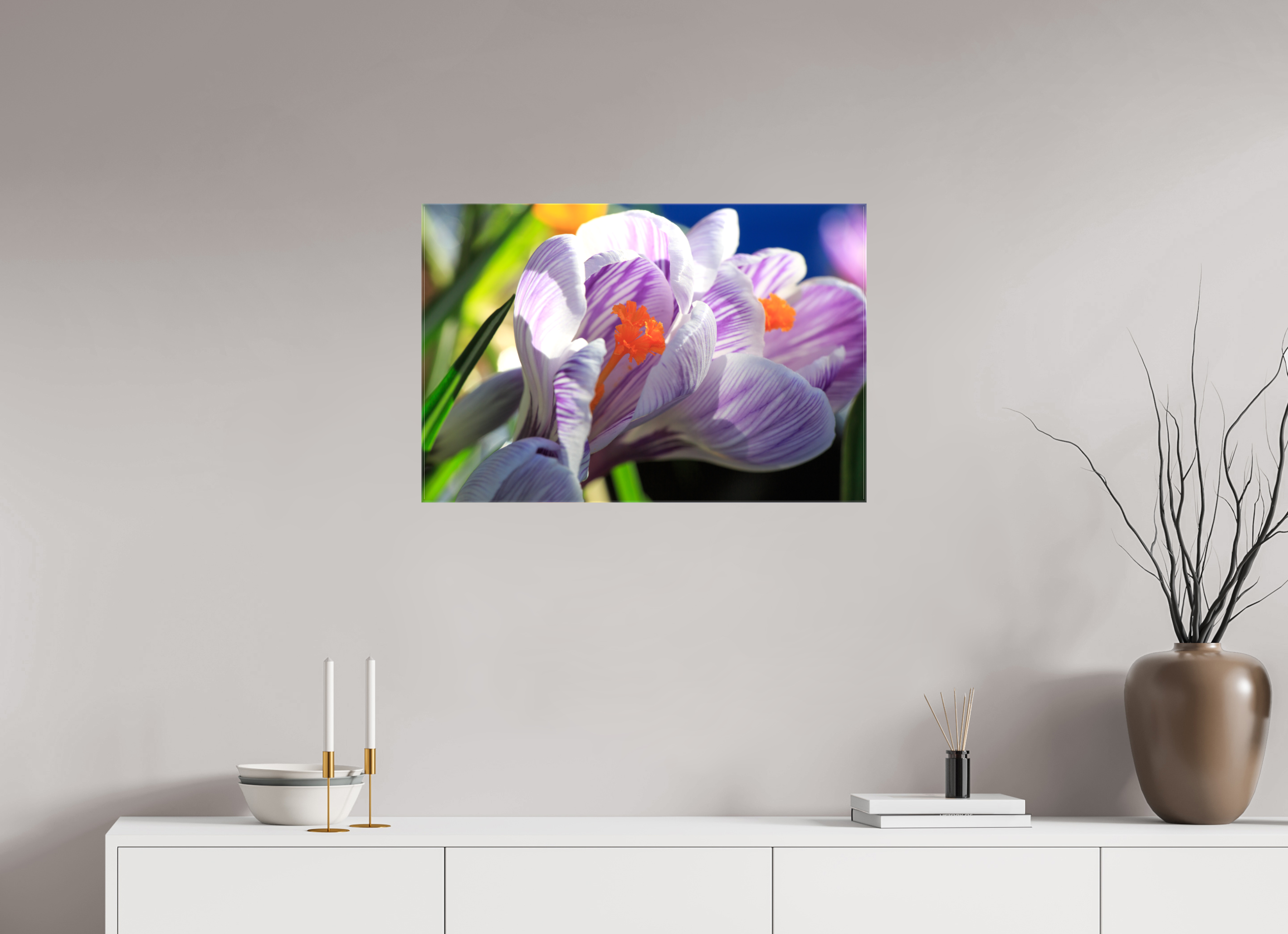 75 x 50 cm, Foto Leinwand glänzend Im Sonnenkuss: Krokusblüte im leuchtenden Lichtspiel
