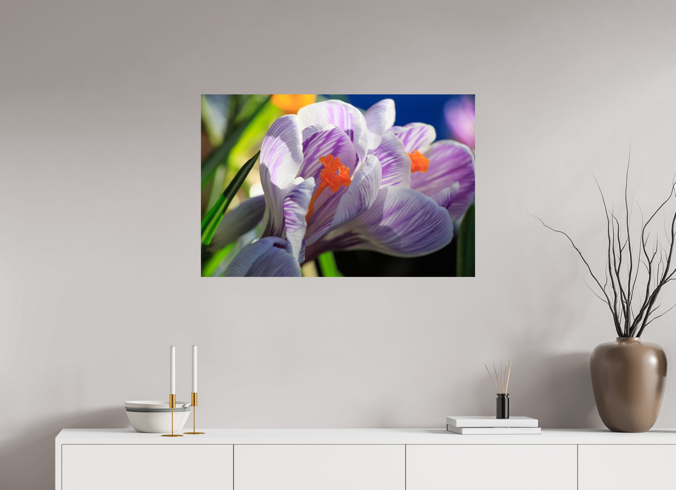 90 x 60 cm, Photo Print On Fuji Crystal DP II Im Sonnenkuss: Krokusblüte im leuchtenden Lichtspiel