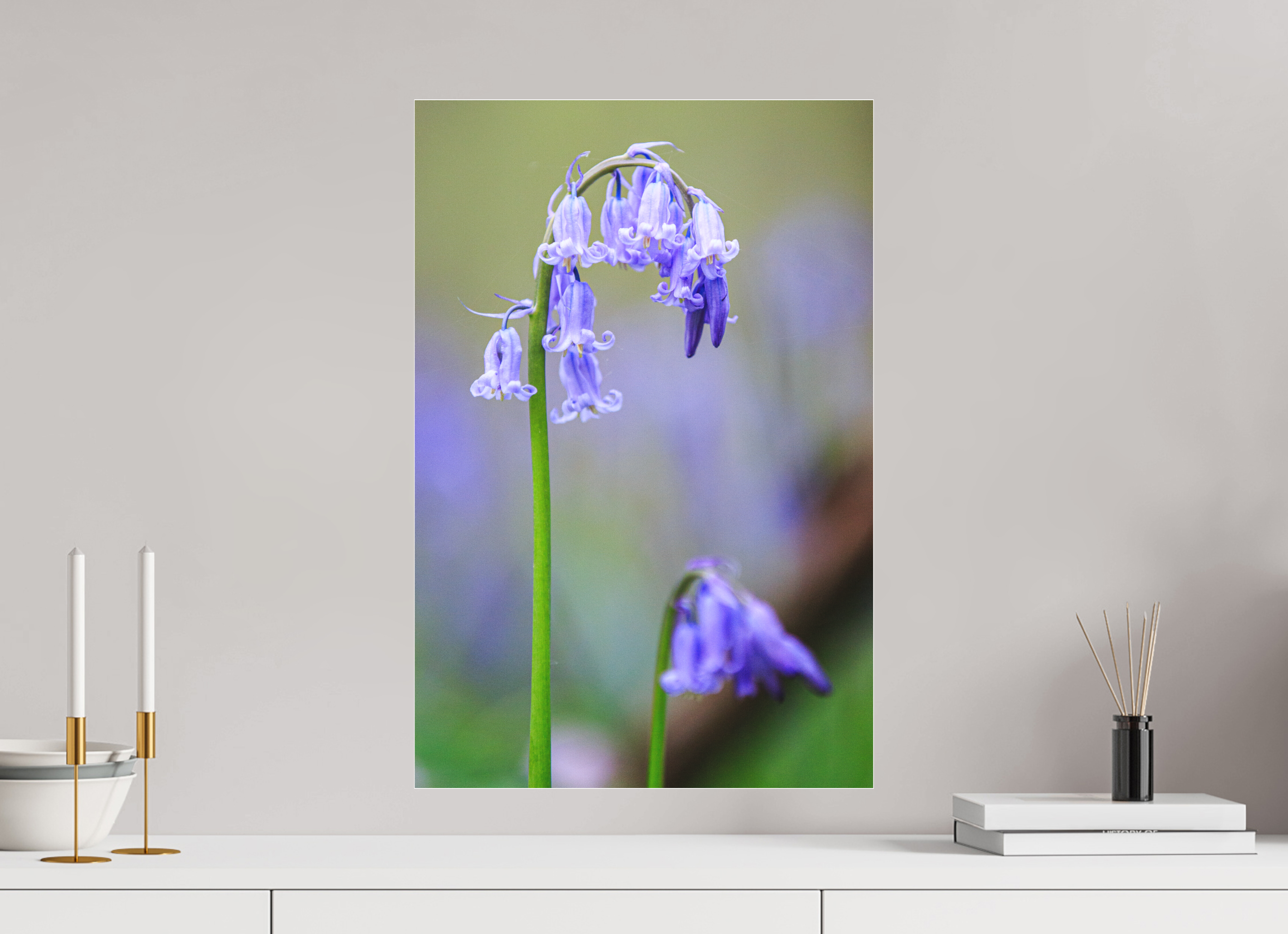 40 x 60 cm, Foto-Abzug hinter Acrylglas 3 mm matt Zarte Poesie: Hasenglöckchen im Bokeh-Fokus