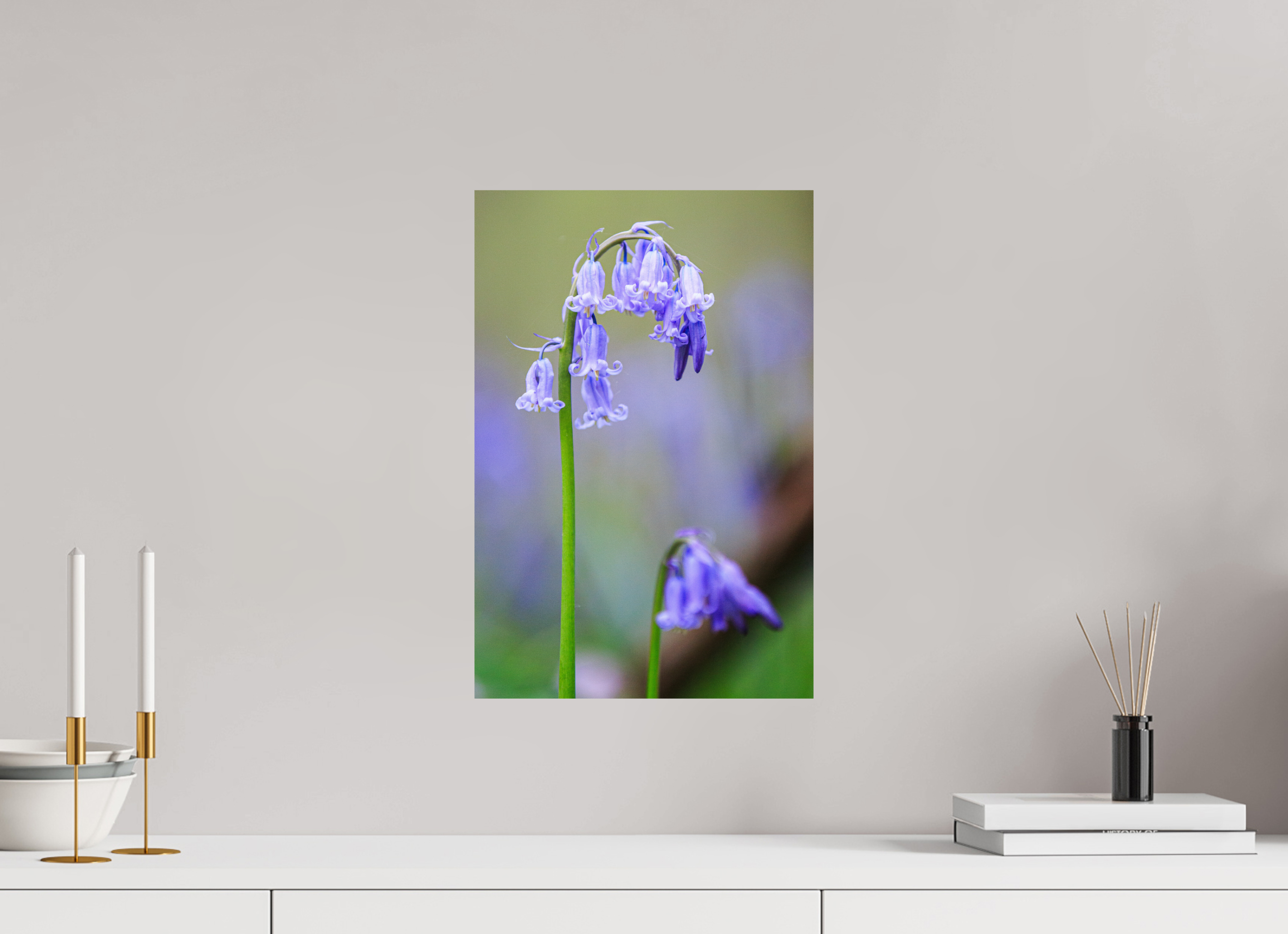 30 x 45 cm, Photo Print On Fuji Crystal DP II Zarte Poesie: Hasenglöckchen im Bokeh-Fokus