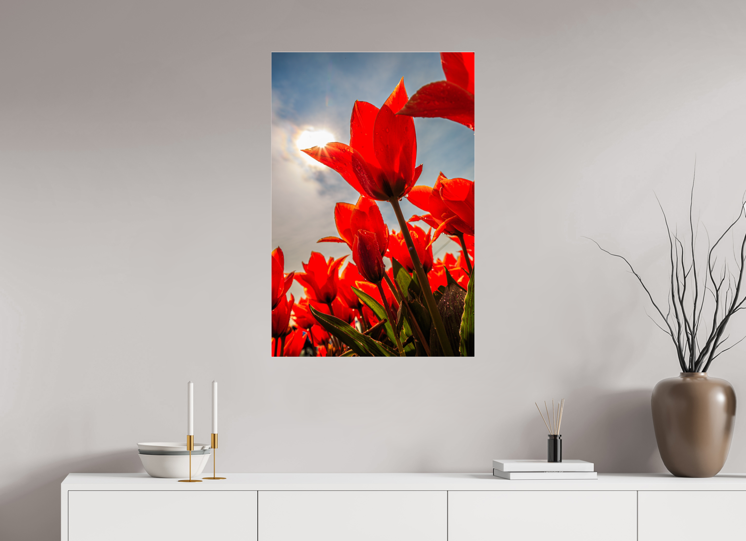 60 x 90 cm, Foto-Abzug Acrylglas 4 mm glänzend Leuchtende Kelche: Offene Tulpen im Sonnenlicht