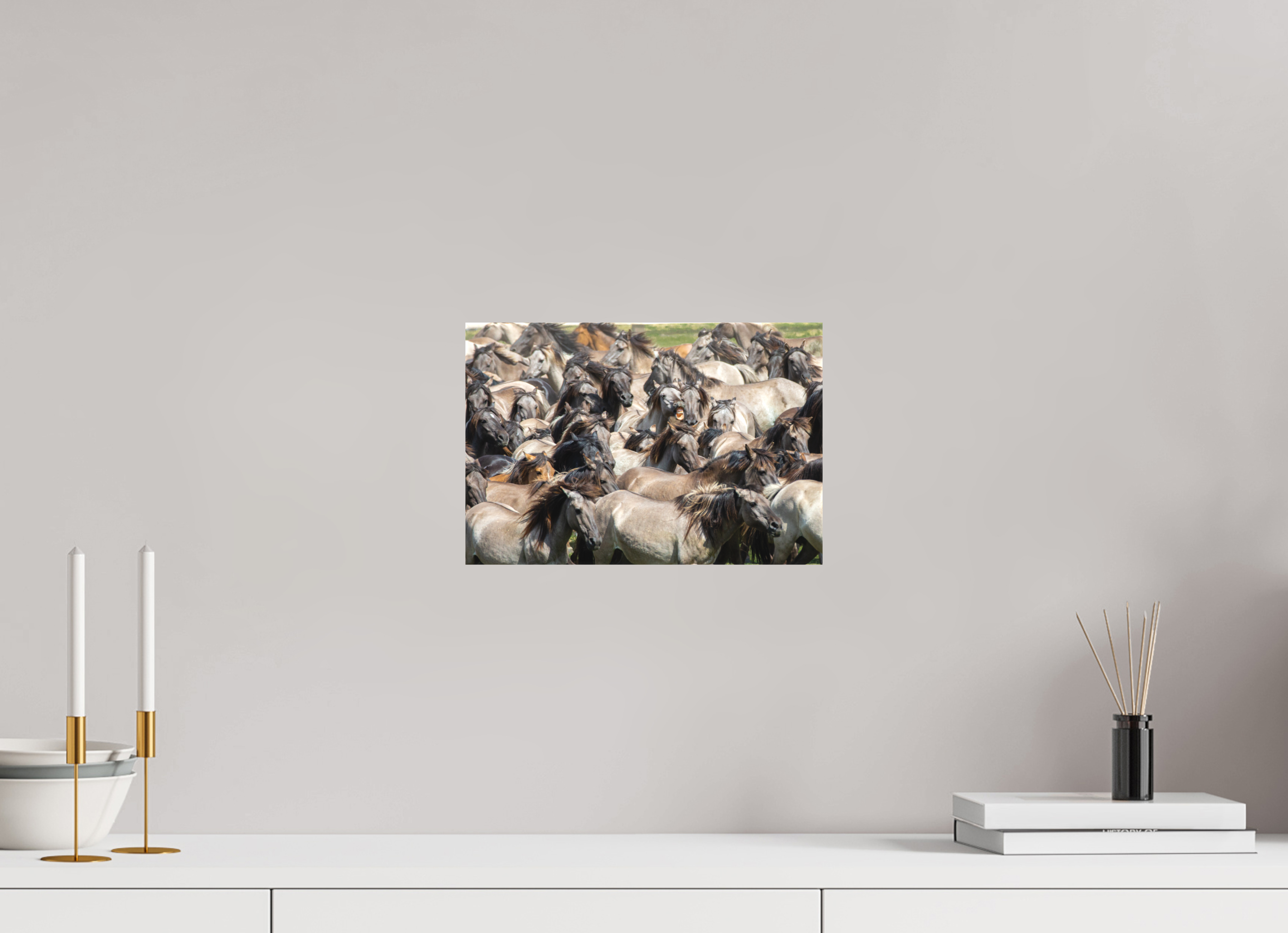 30 x 20 cm, Foto-Leinwand matt Wieherndes Wildpferd