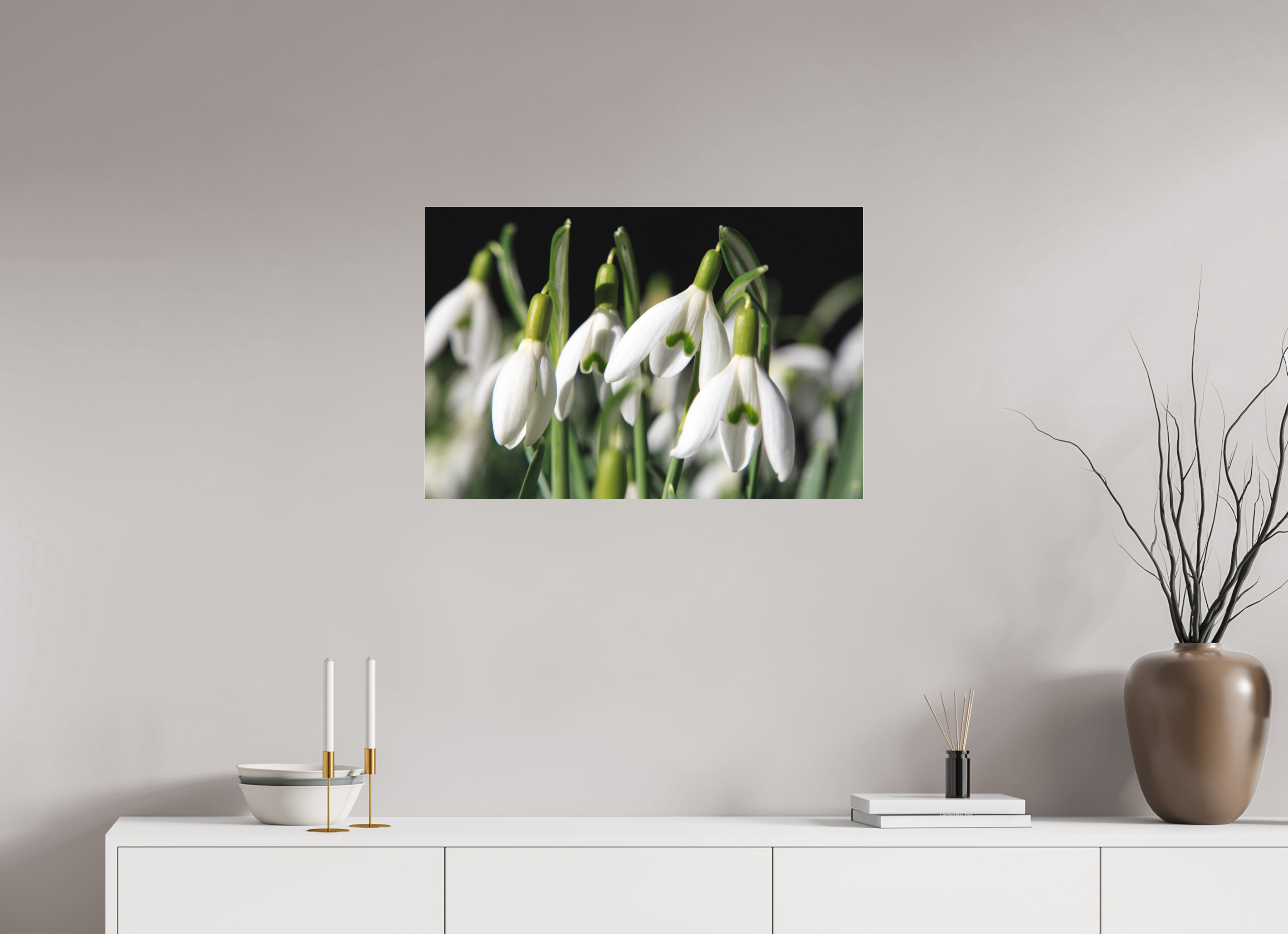 75 x 50 cm, Foto-Abzug hinter Acrylglas 3 mm matt Schneeglöckchen – Erste Frühlingsboten