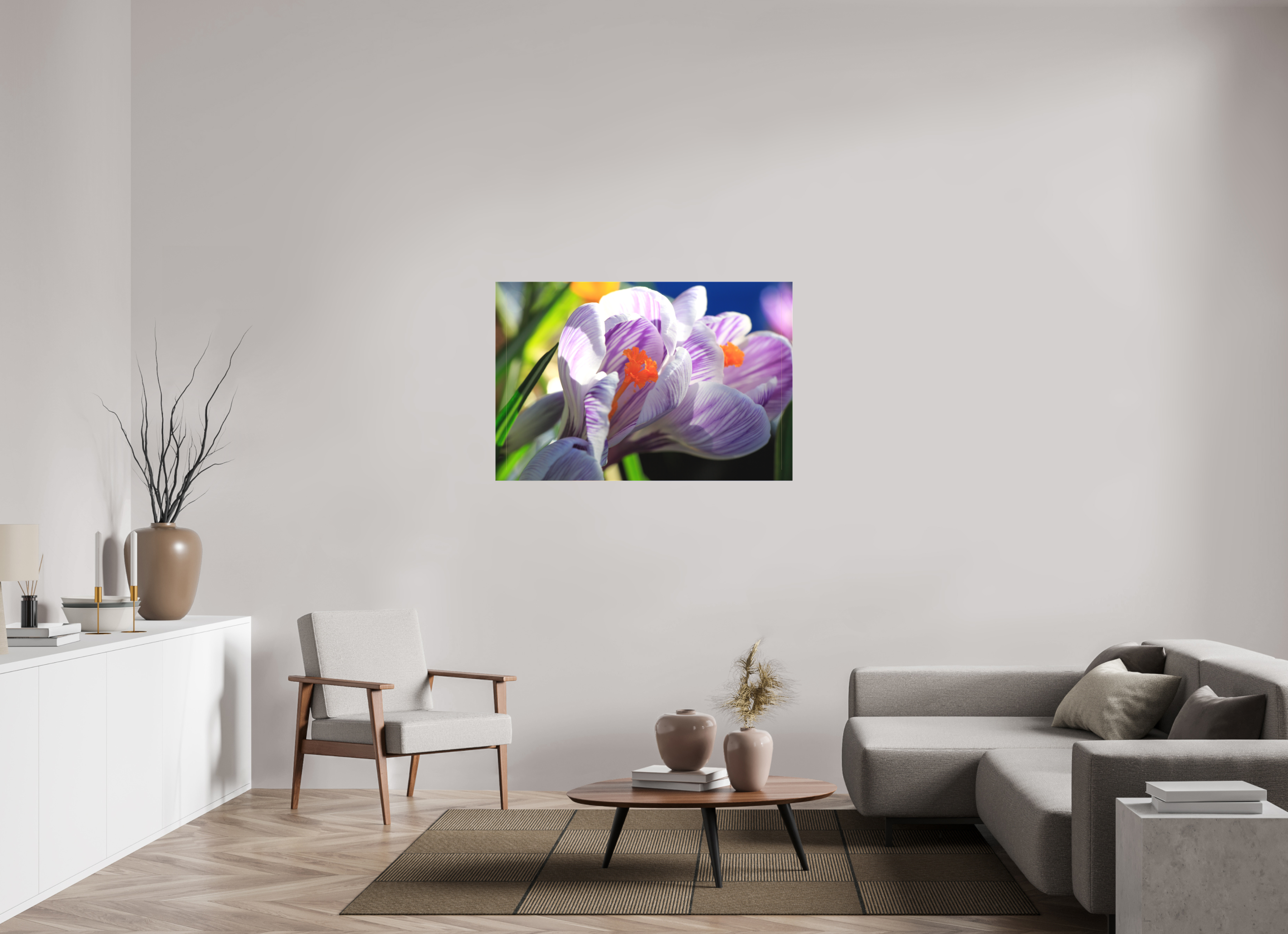 120 x 80 cm, Foto-Leinwand matt Im Sonnenkuss: Krokusblüte im leuchtenden Lichtspiel