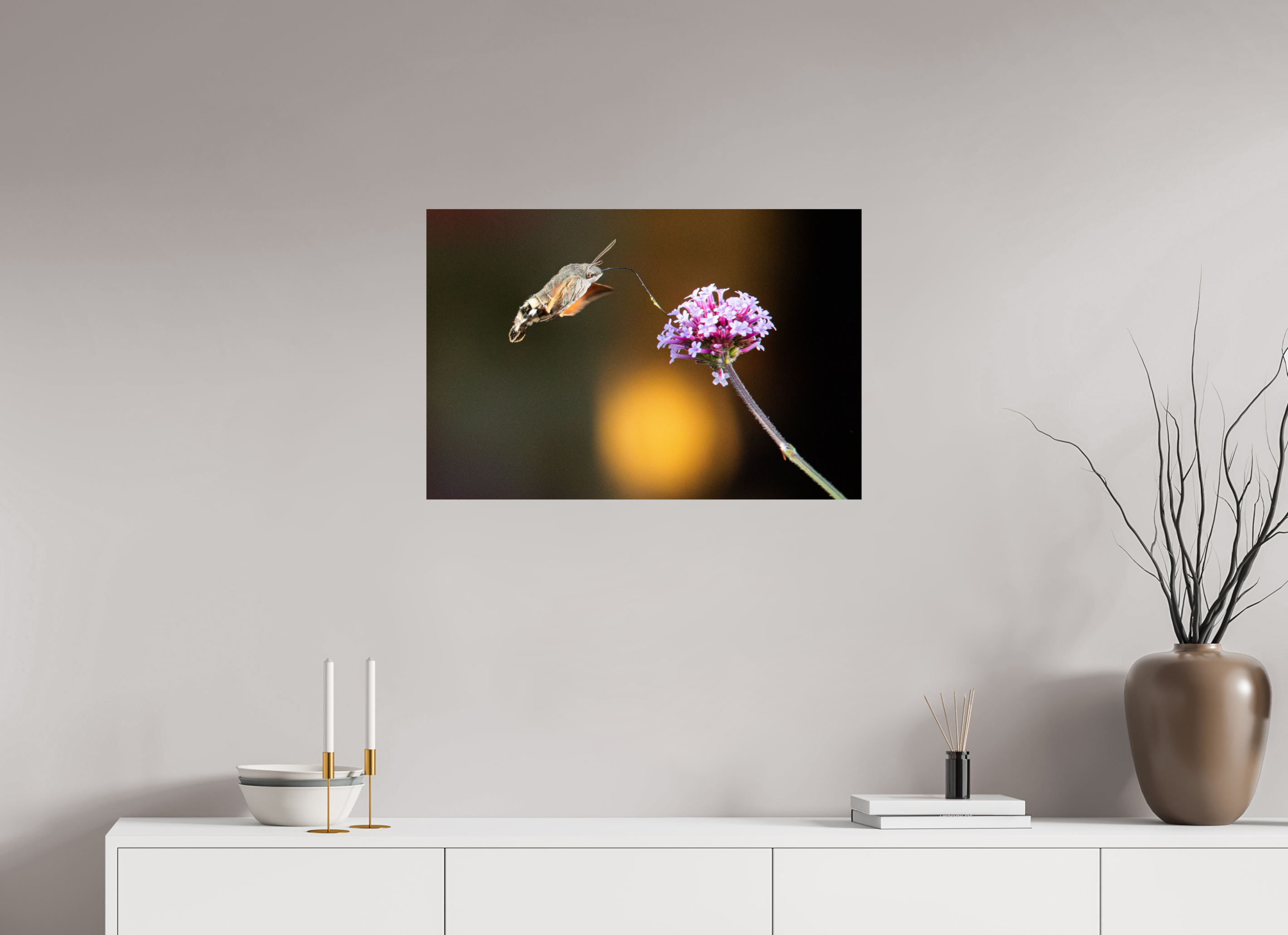 75 x 50 cm, Photo Print On Fuji Crystal DP II Taubenschwänzchen