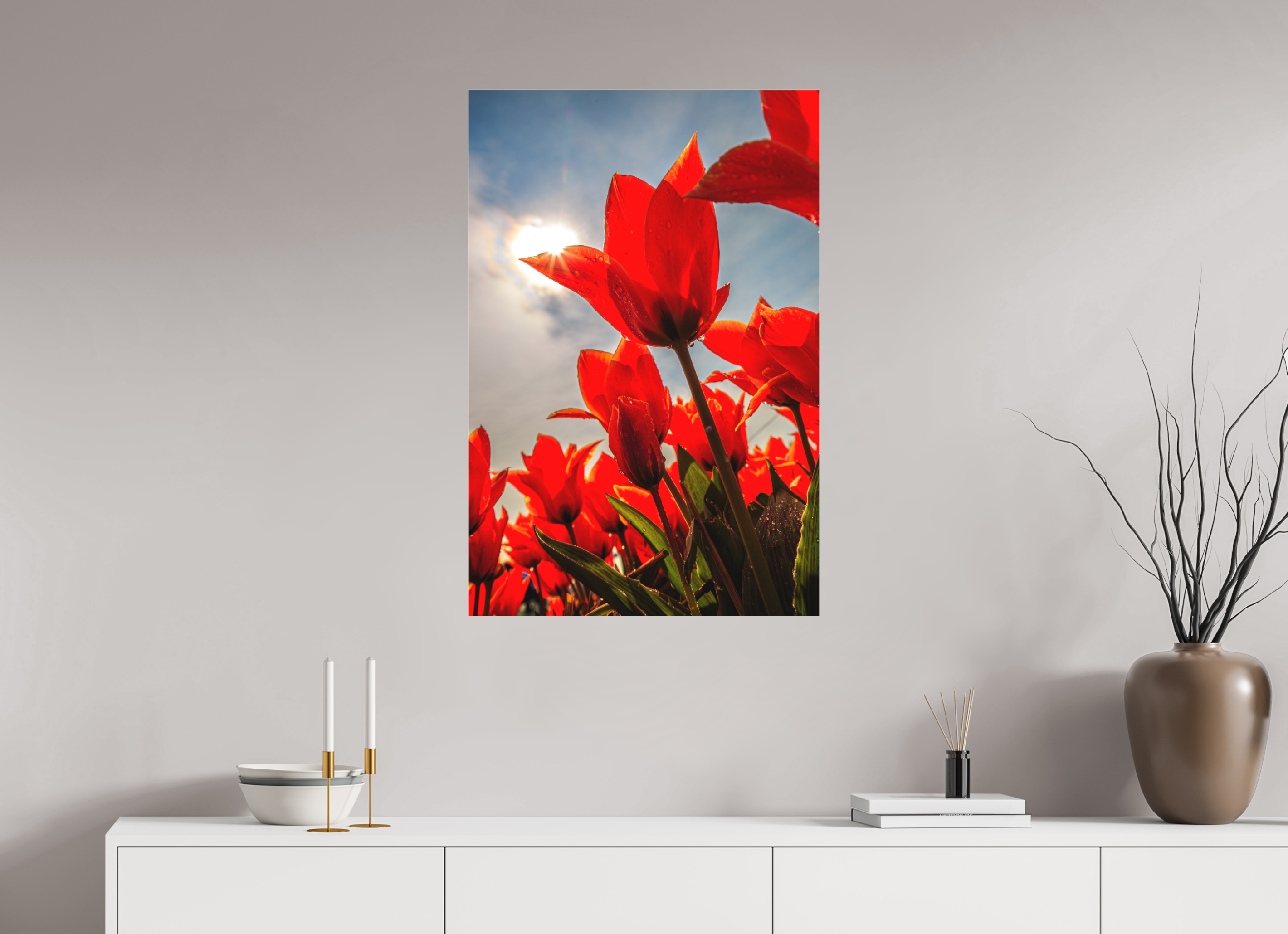 60 x 90 cm, Foto-Abzug hinter Acrylglas 3 mm matt Leuchtende Kelche: Offene Tulpen im Sonnenlicht