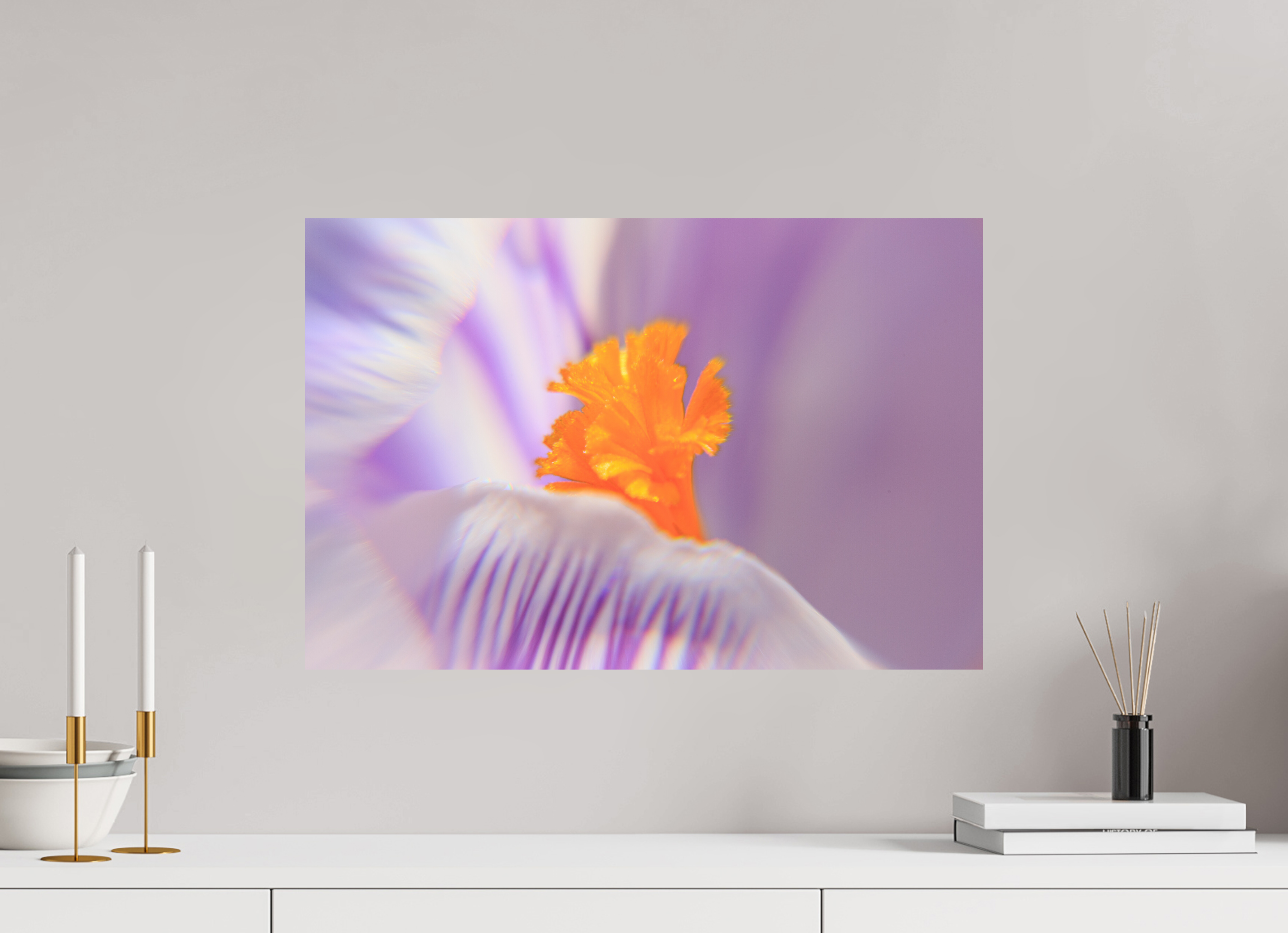 60 x 40 cm, Photo Print On Fuji Crystal DP II Das Herz des Krokus: Schärfe auf Lila