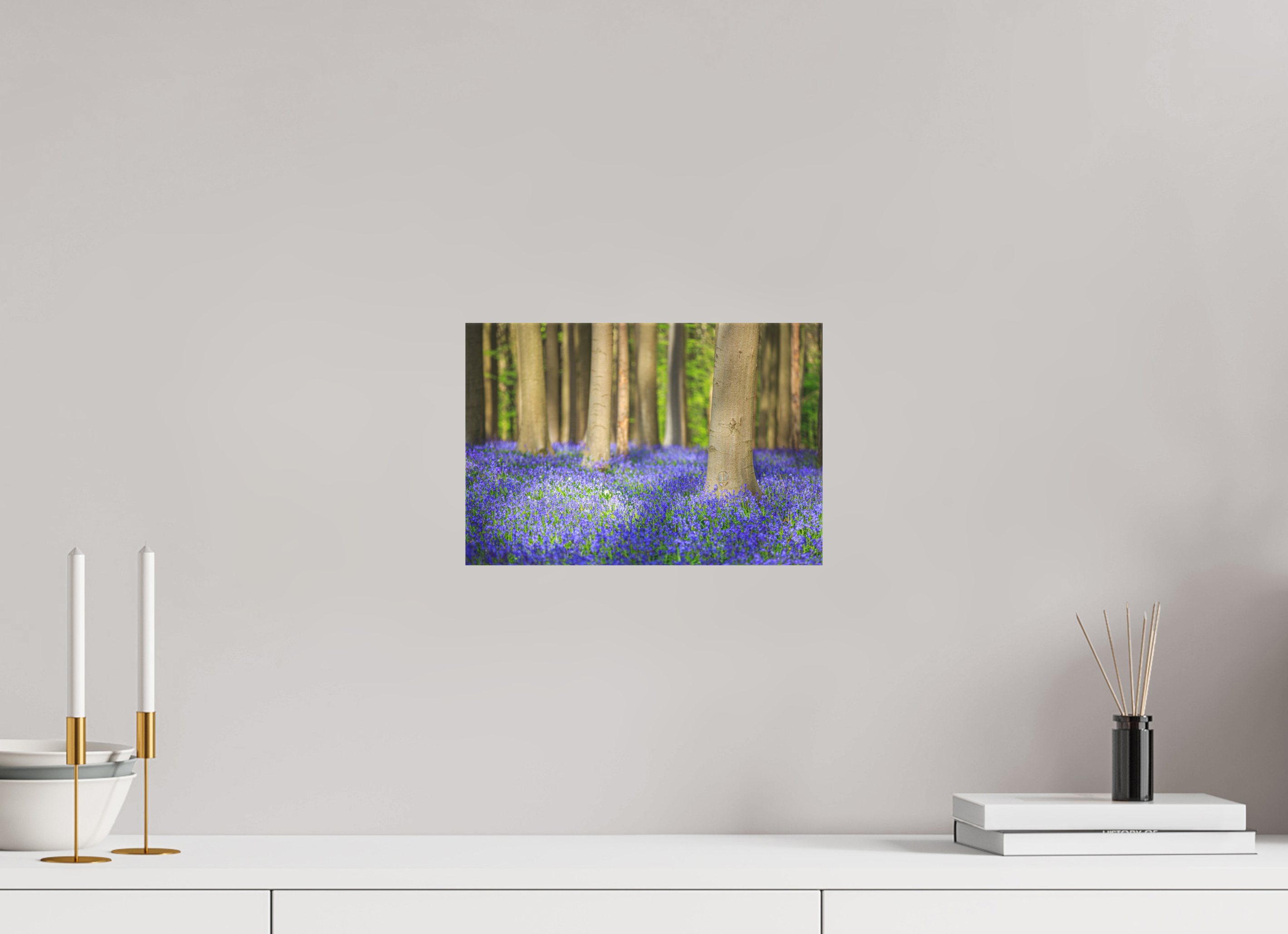 30 x 20 cm, Foto-Leinwand matt Mystischer Frühlingswald – Tanz des Lichts über blauem Blütenmeer