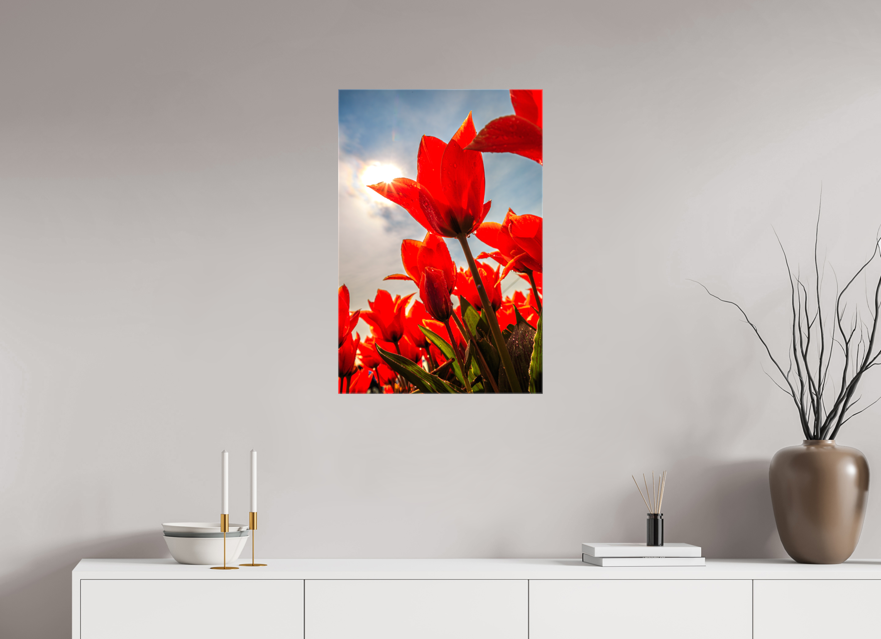 50 x 75 cm, Foto Leinwand glänzend Leuchtende Kelche: Offene Tulpen im Sonnenlicht