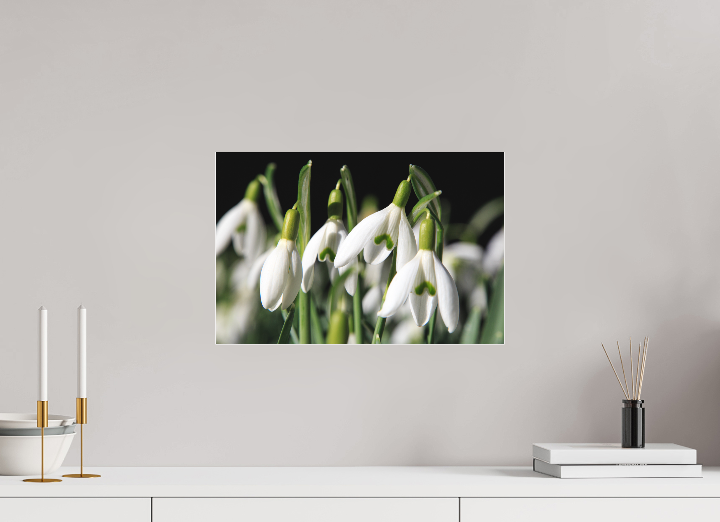 45 x 30 cm, Foto-Abzug hinter Acrylglas 3 mm matt Schneeglöckchen – Erste Frühlingsboten