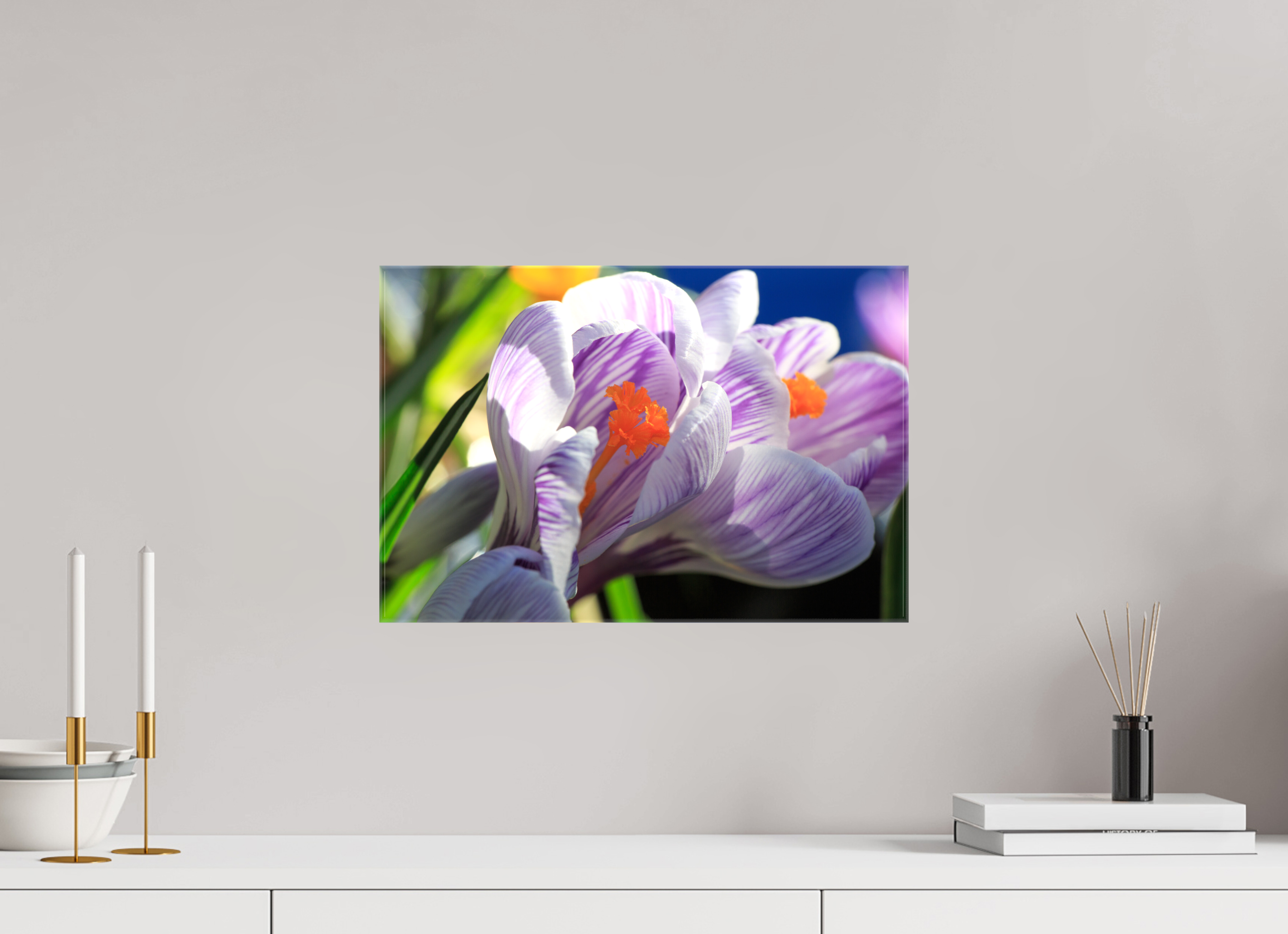 45 x 30 cm, Foto Leinwand glänzend Im Sonnenkuss: Krokusblüte im leuchtenden Lichtspiel