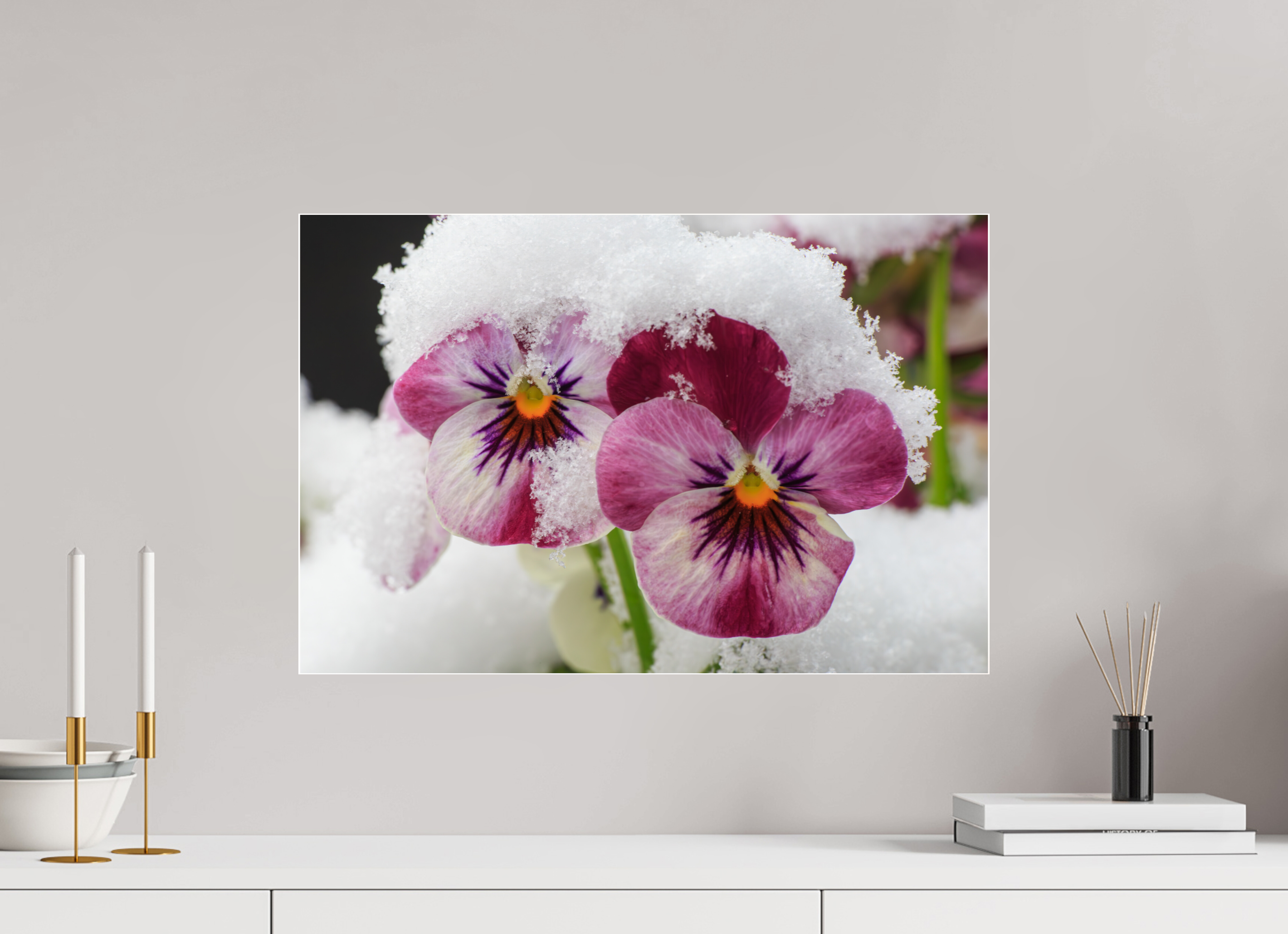 60 x 40 cm, Foto-Abzug Acrylglas 4 mm glänzend Winterzauber: Veilchenblüte mit glitzernden Eiskristallen