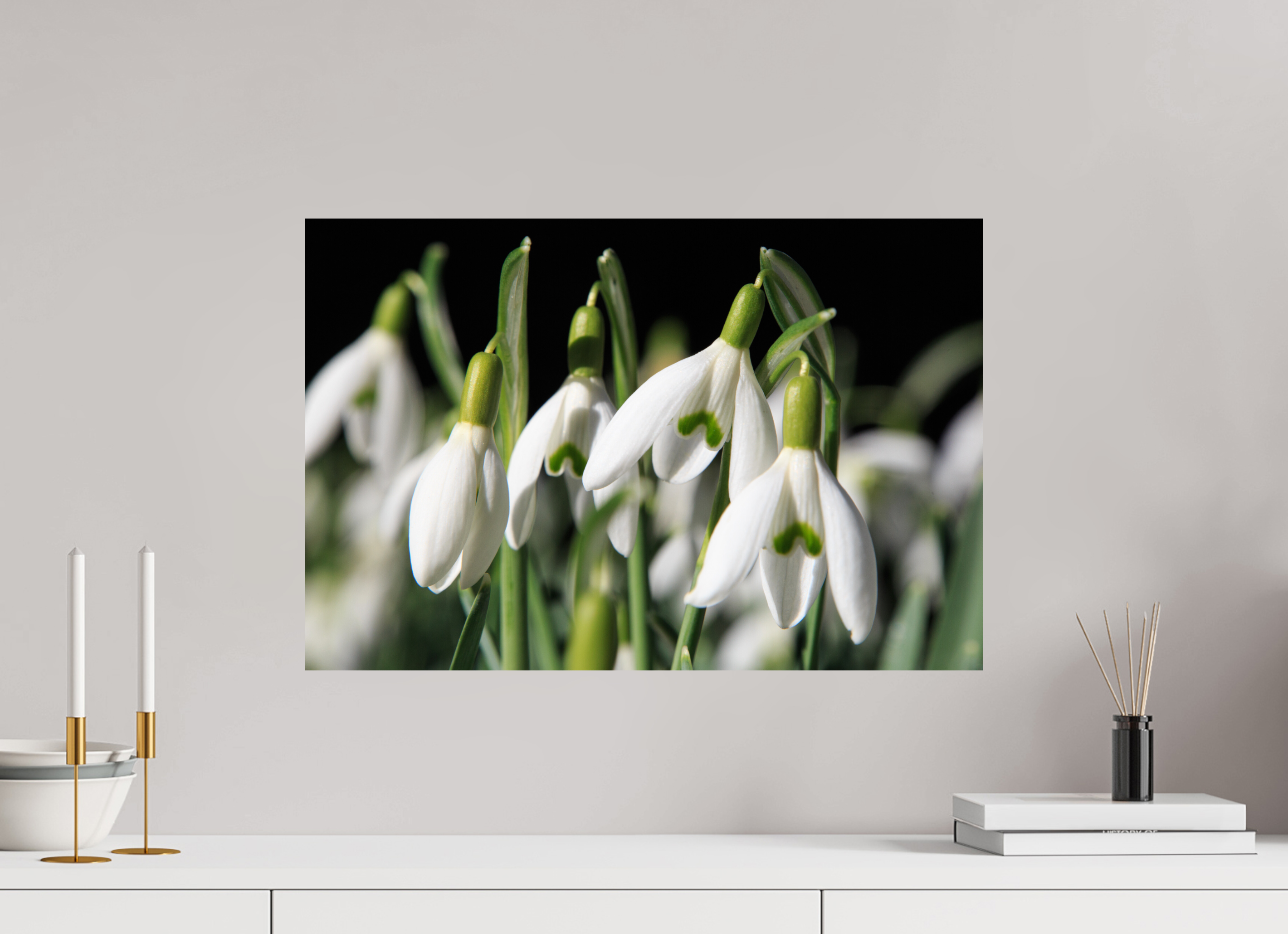 60 x 40 cm, Photo Print On Fuji Crystal DP II Schneeglöckchen – Erste Frühlingsboten