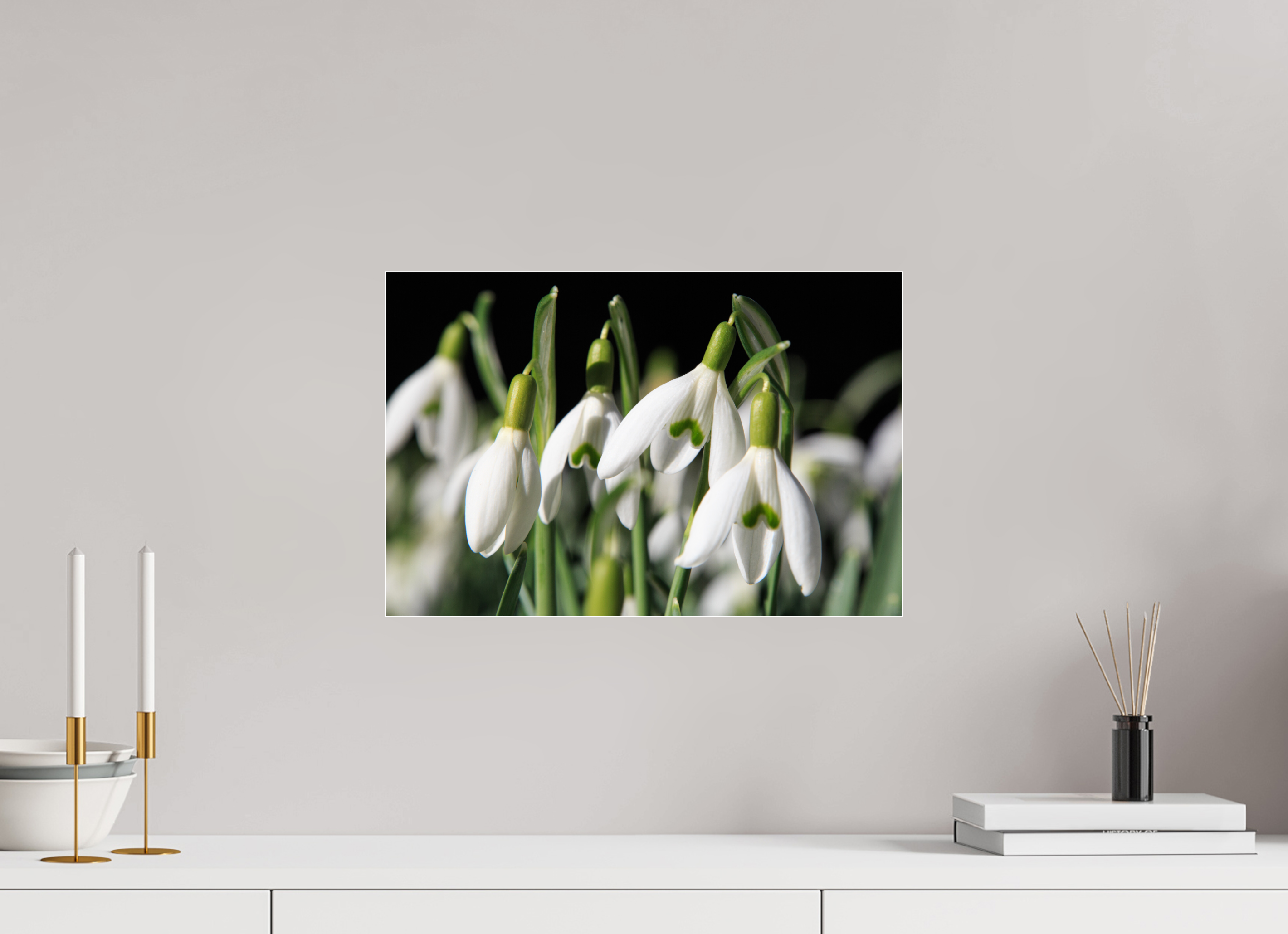 45 x 30 cm, Foto-Abzug Acrylglas 4 mm glänzend Schneeglöckchen – Erste Frühlingsboten