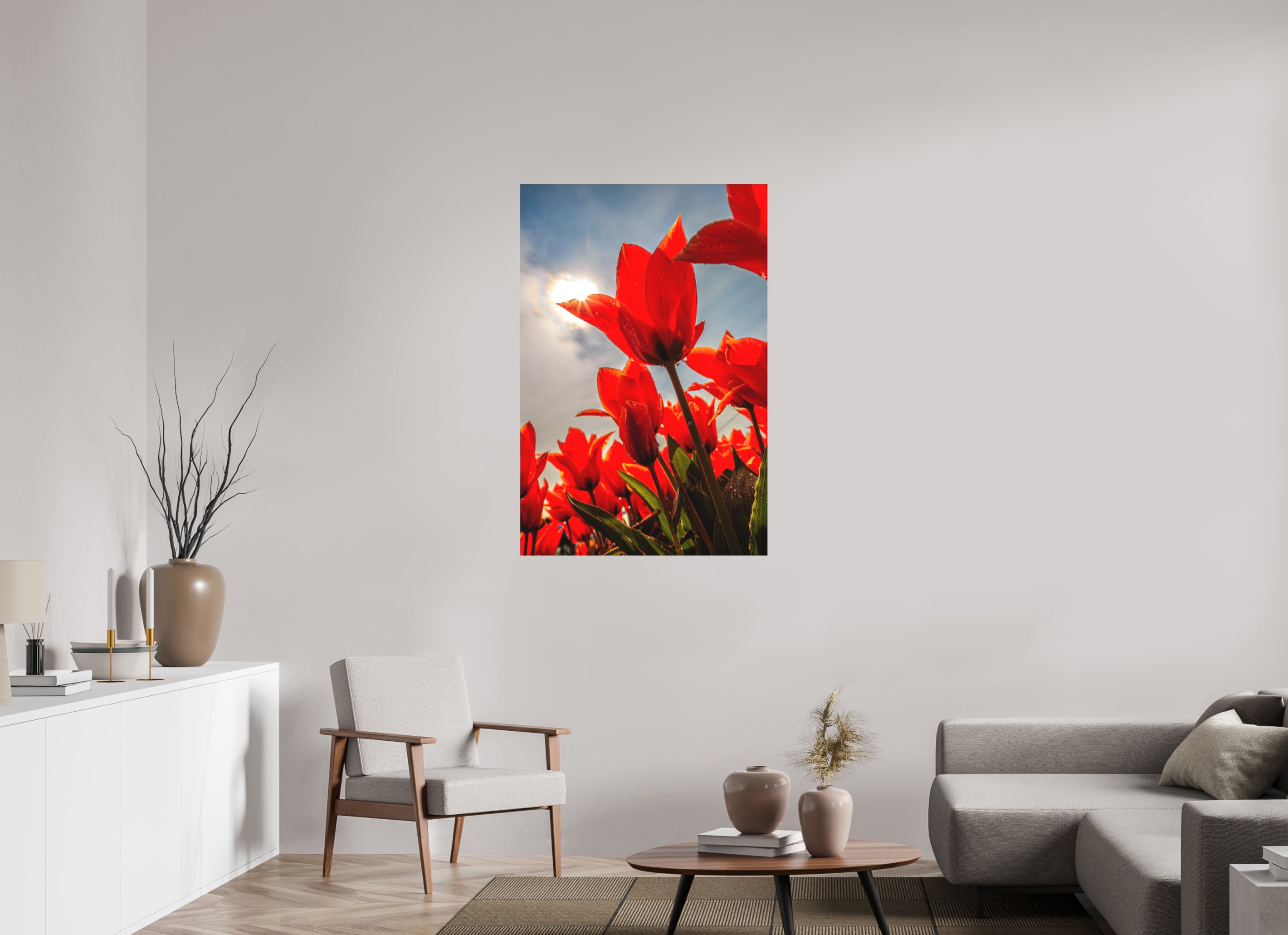 80 x 120 cm, Foto-Abzug hinter Acrylglas 3 mm matt Leuchtende Kelche: Offene Tulpen im Sonnenlicht