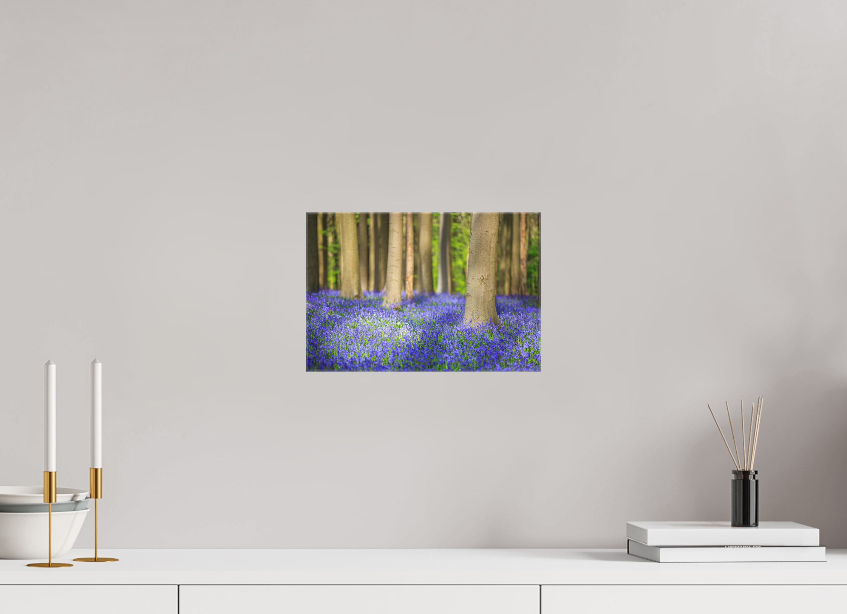 30 x 20 cm, Foto Leinwand glänzend Mystischer Frühlingswald – Tanz des Lichts über blauem Blütenmeer