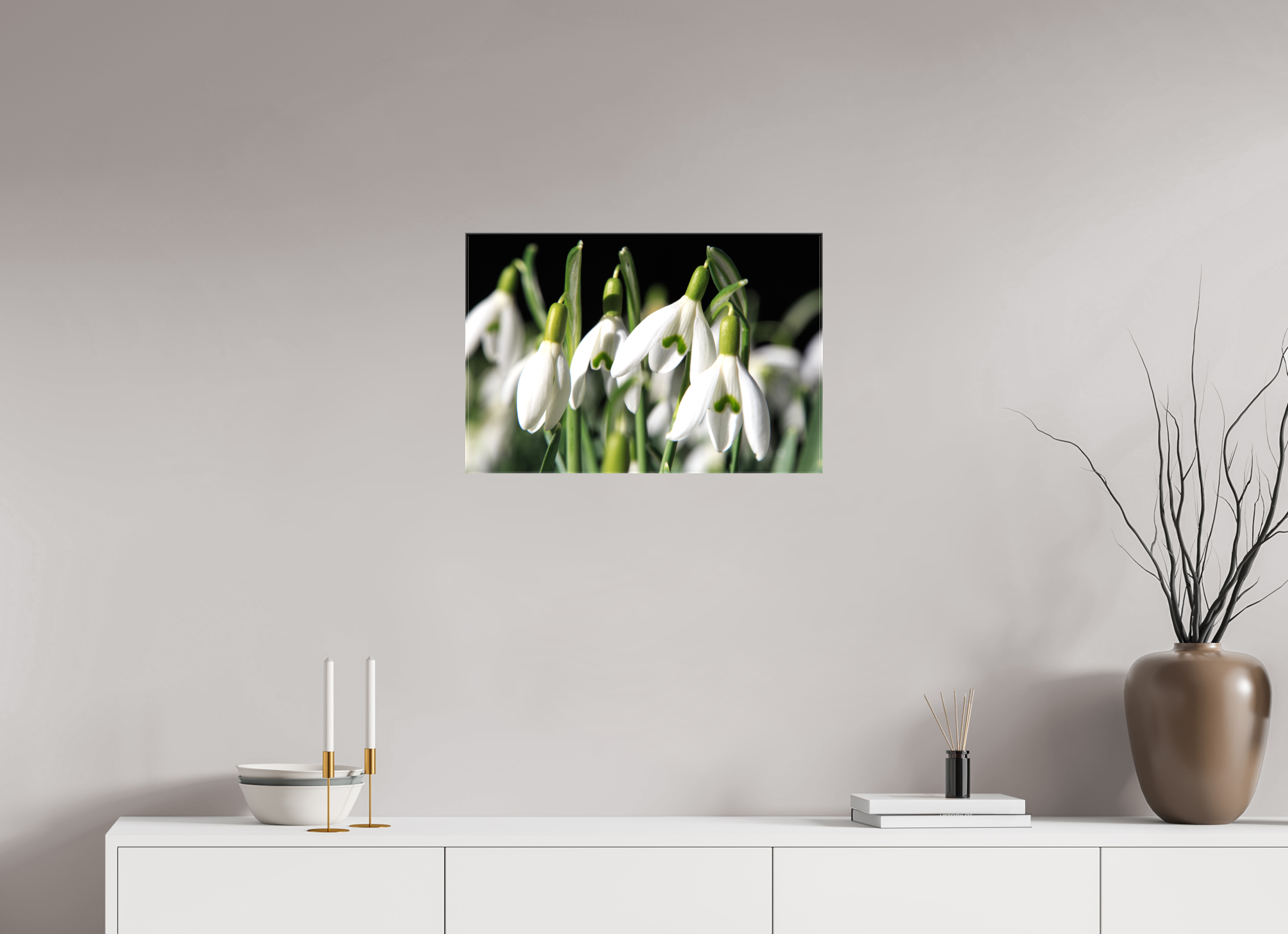 60 x 40 cm, Foto Leinwand glänzend Schneeglöckchen – Erste Frühlingsboten