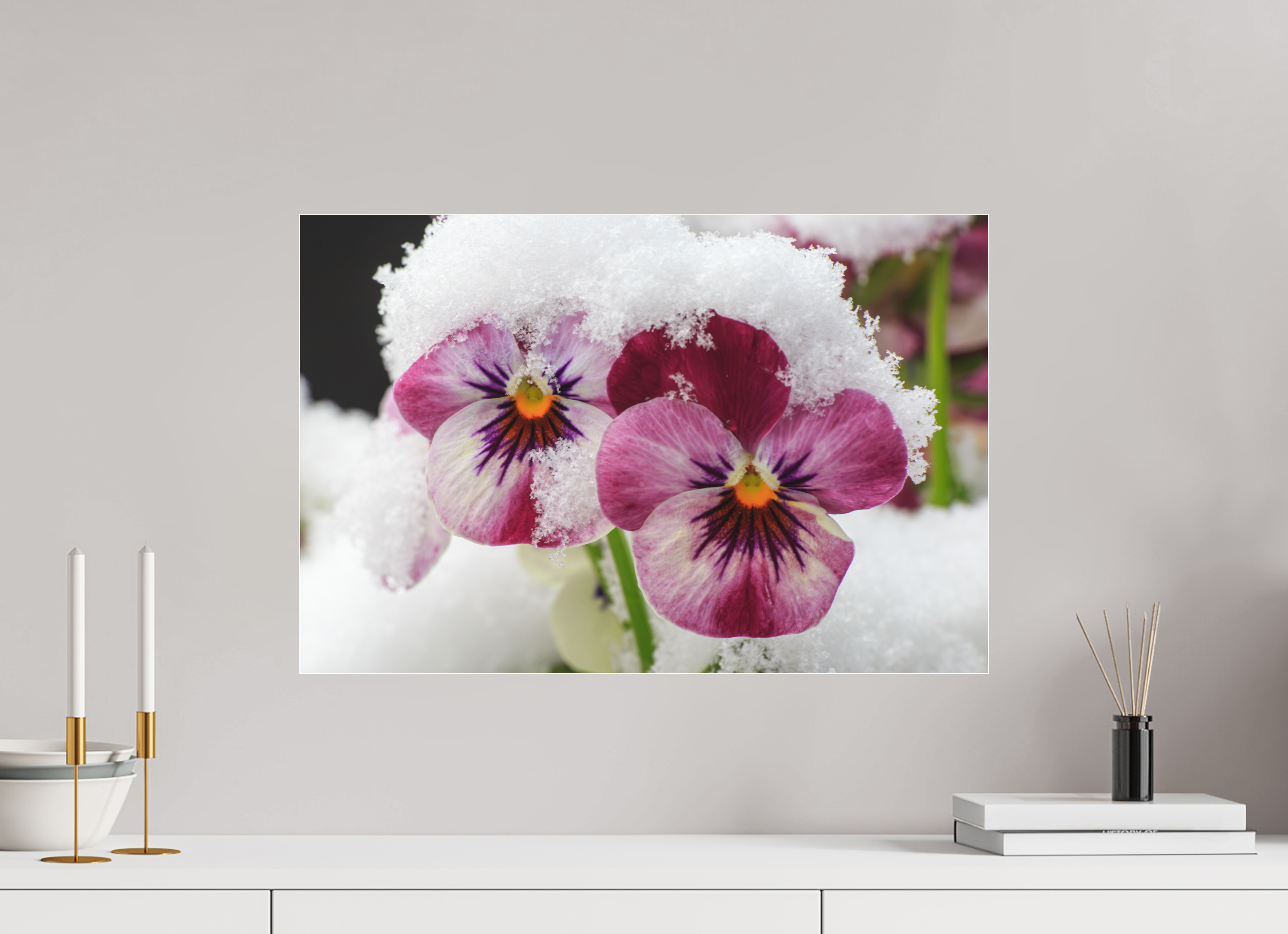 60 x 40 cm, Foto-Abzug hinter Acrylglas 3 mm matt Winterzauber: Veilchenblüte mit glitzernden Eiskristallen