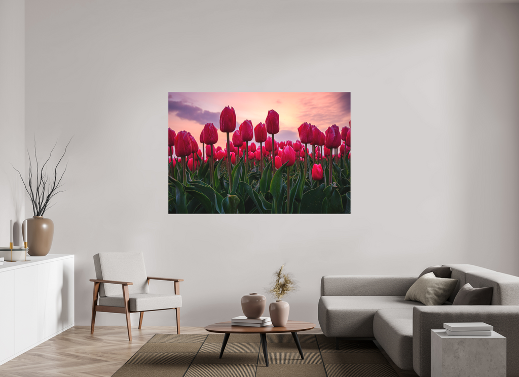 180 x 120 cm, Foto-Abzug hinter Acrylglas 3 mm matt Glutrot am Horizont: Magie des Tulpenfelds im Abendlicht