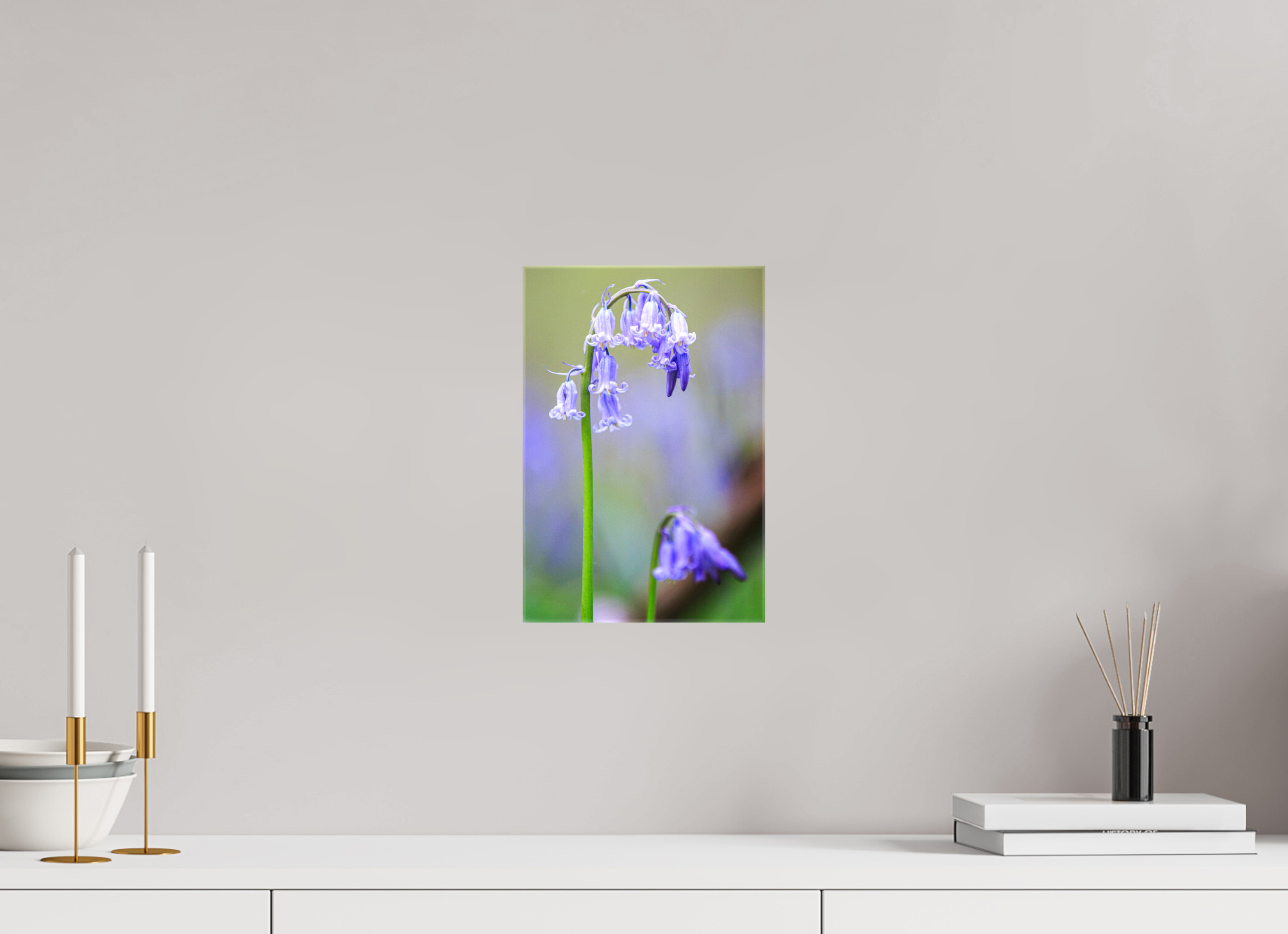 20 x 30 cm, Foto Leinwand glänzend Zarte Poesie: Hasenglöckchen im Bokeh-Fokus