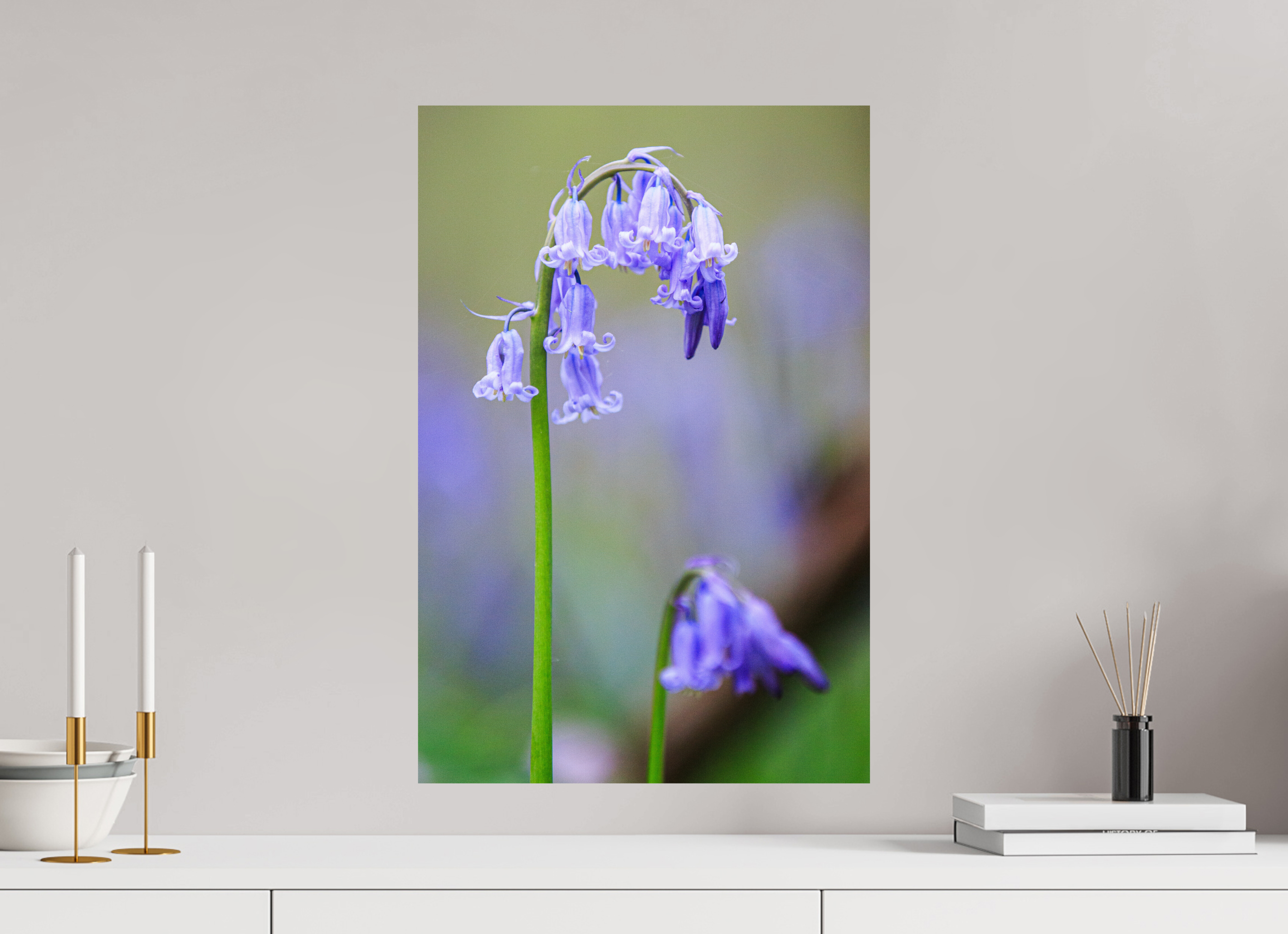 40 x 60 cm, Photo Print On Fuji Crystal DP II Zarte Poesie: Hasenglöckchen im Bokeh-Fokus