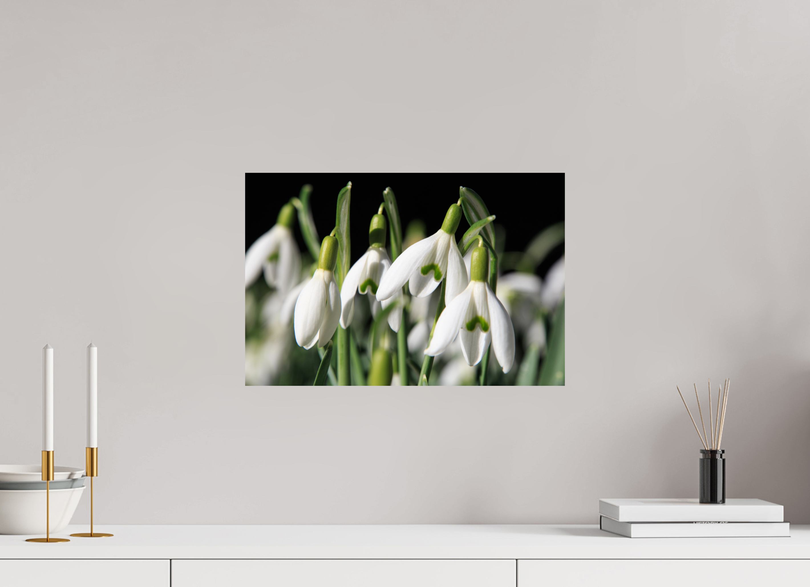 45 x 30 cm, Photo Print On Fuji Crystal DP II Schneeglöckchen – Erste Frühlingsboten