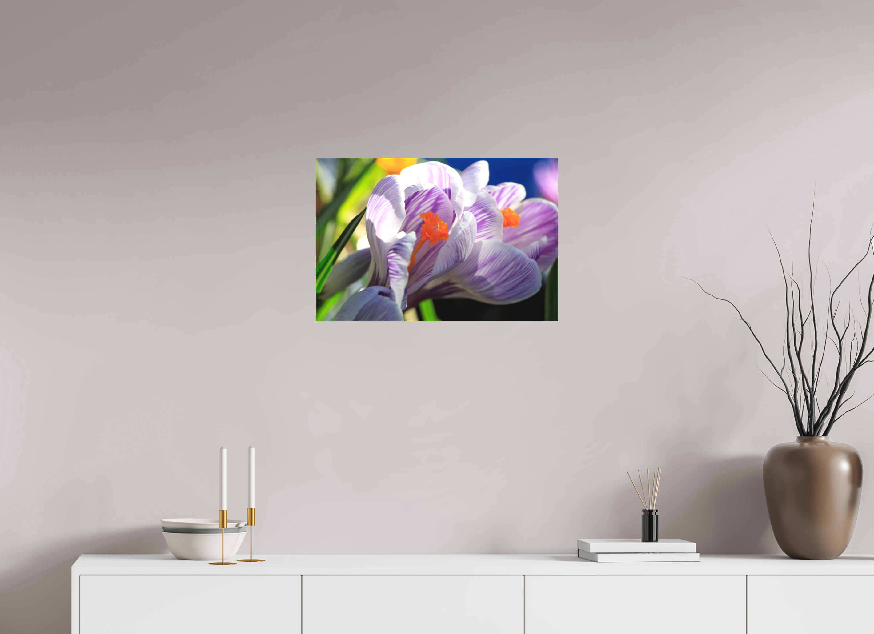 60 x 40 cm, Foto-Leinwand matt Im Sonnenkuss: Krokusblüte im leuchtenden Lichtspiel