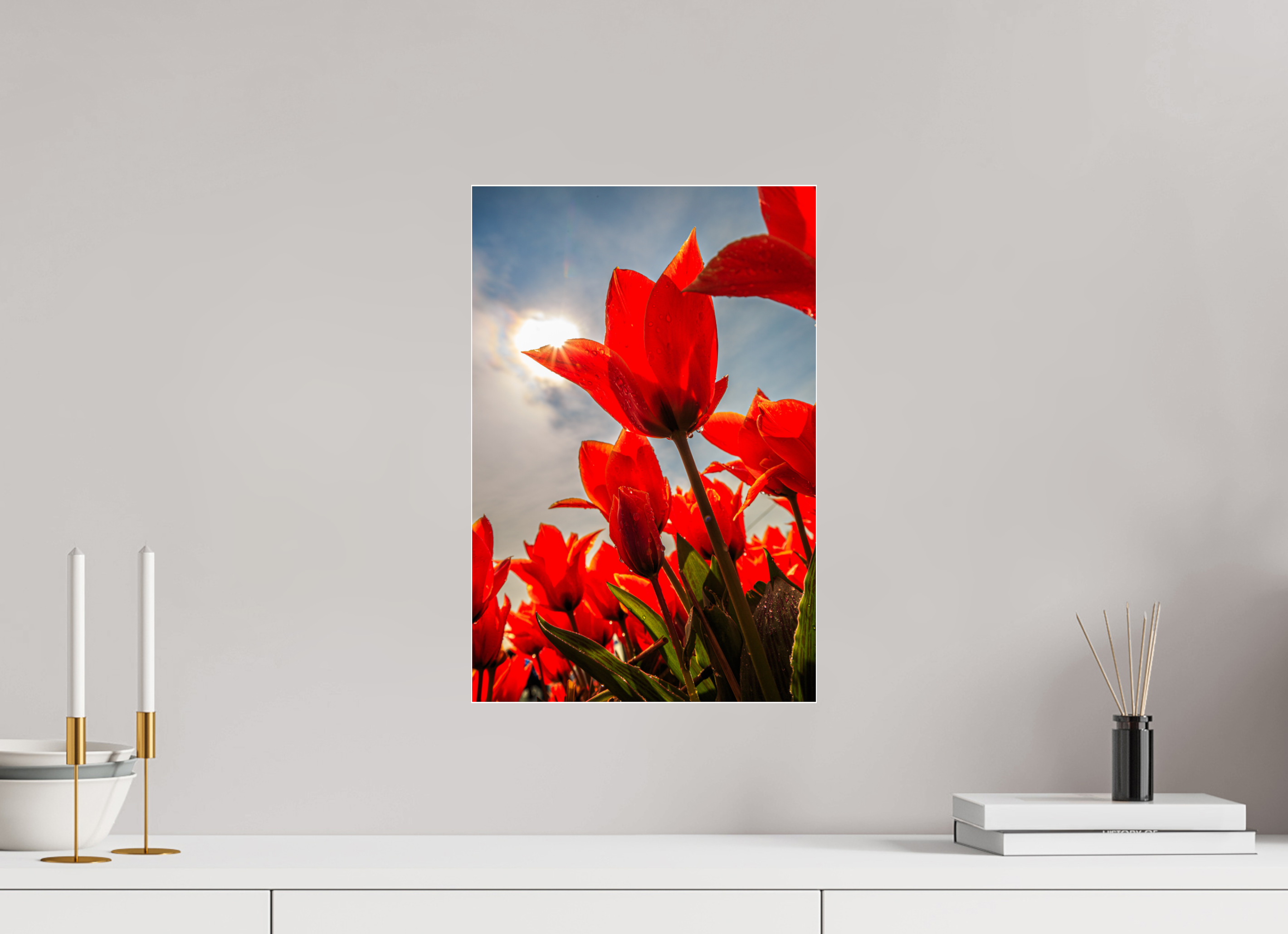 30 x 45 cm, Foto-Abzug Acrylglas 4 mm glänzend Leuchtende Kelche: Offene Tulpen im Sonnenlicht