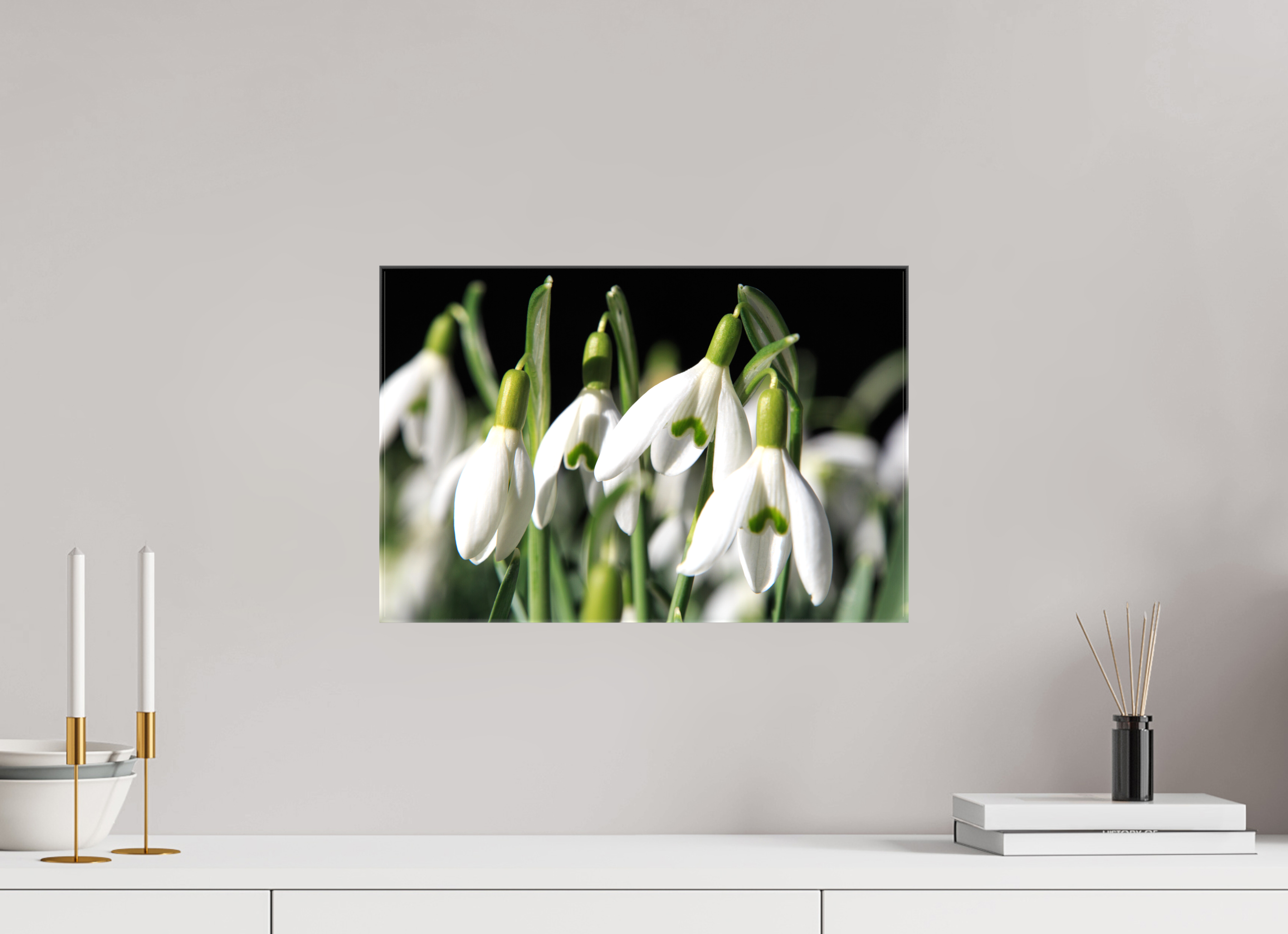 45 x 30 cm, Foto Leinwand glänzend Schneeglöckchen – Erste Frühlingsboten