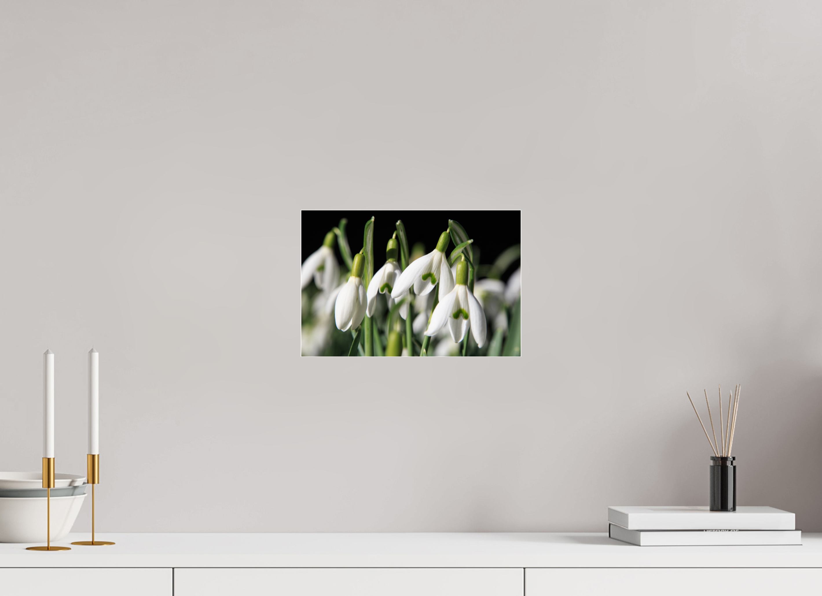 30 x 20 cm, Foto-Abzug Acrylglas 4 mm glänzend Schneeglöckchen – Erste Frühlingsboten