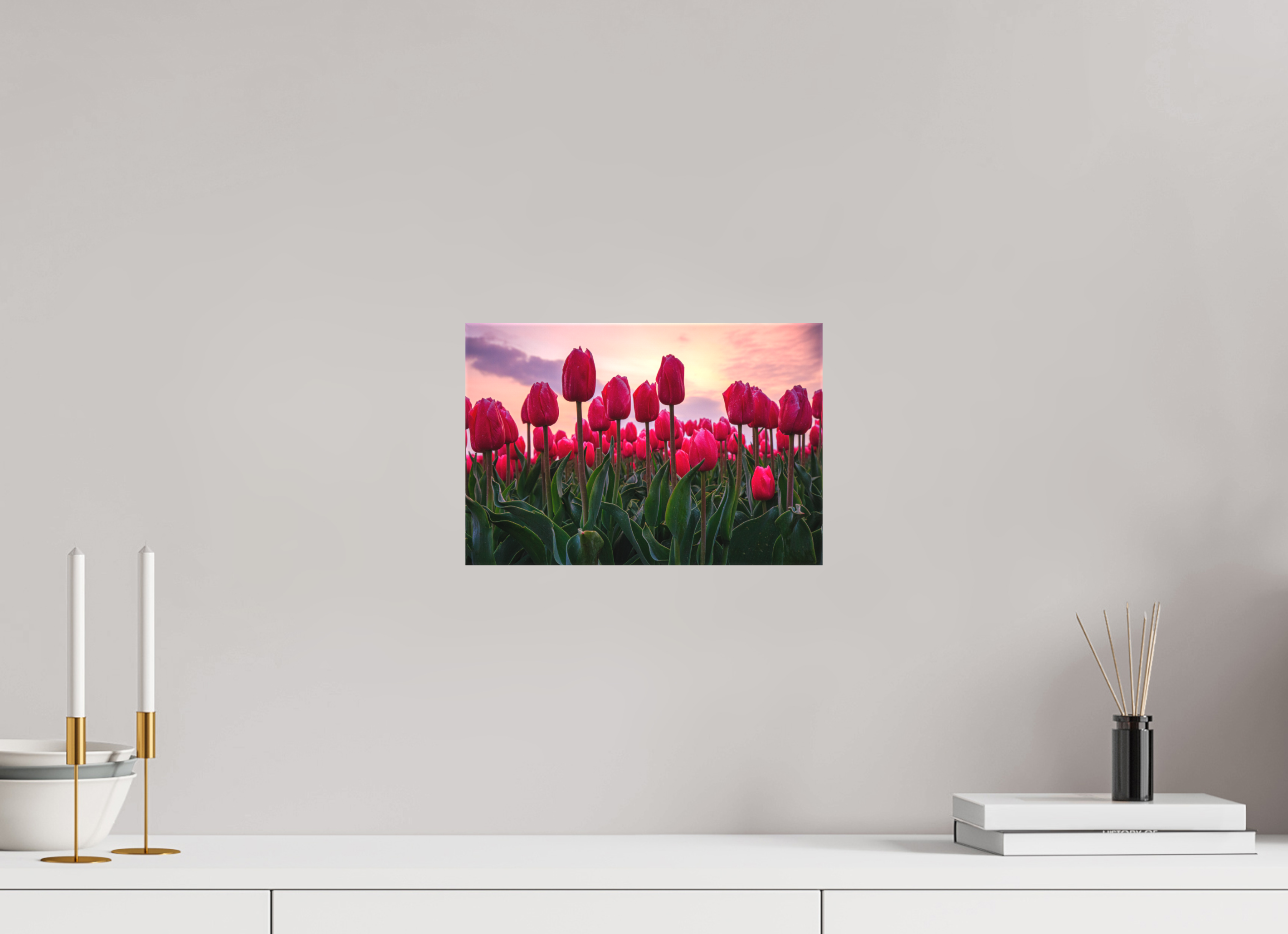 30 x 20 cm, Foto-Leinwand matt Glutrot am Horizont: Magie des Tulpenfelds im Abendlicht