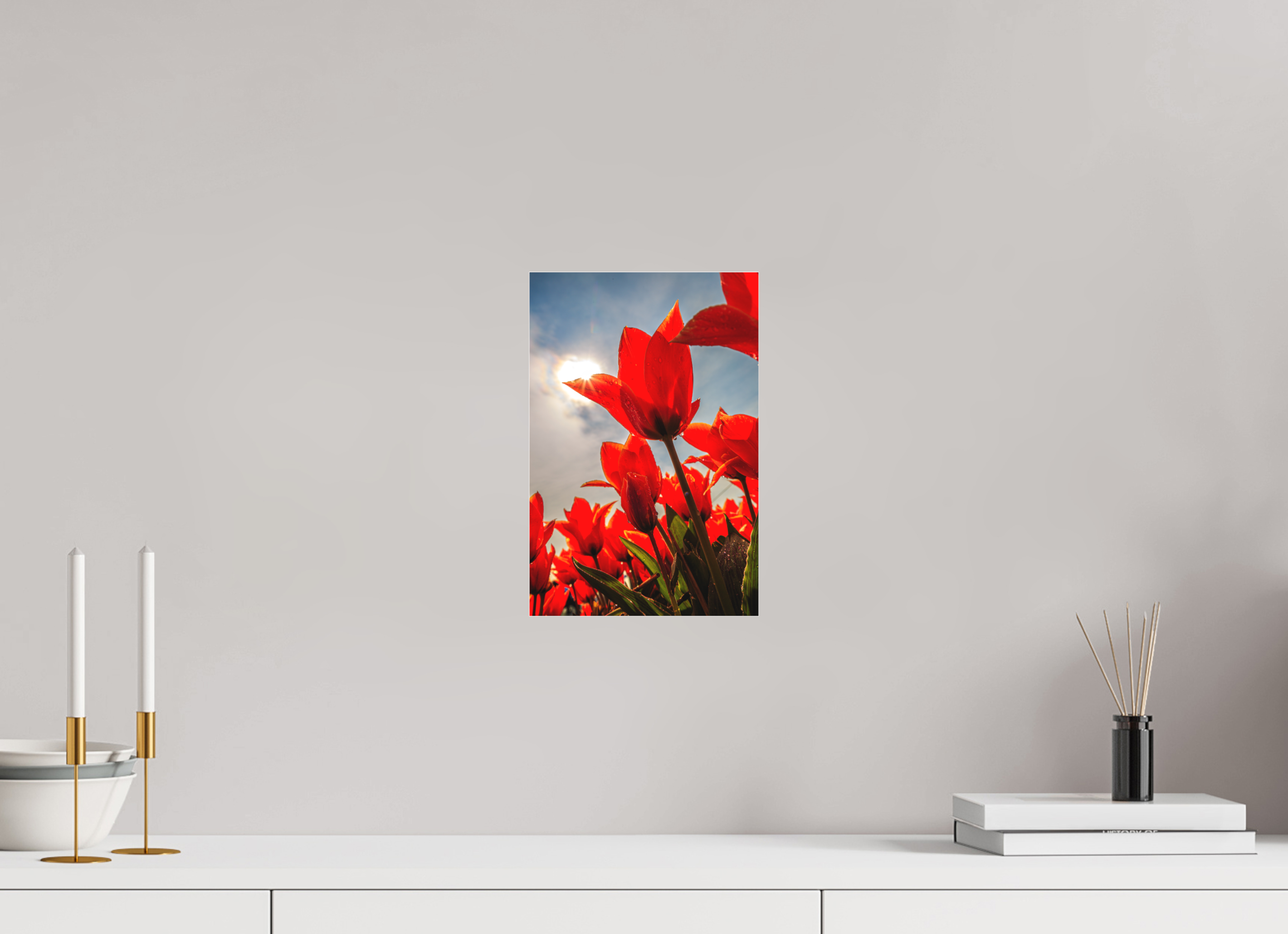 20 x 30 cm, Foto-Abzug hinter Acrylglas 3 mm matt Leuchtende Kelche: Offene Tulpen im Sonnenlicht