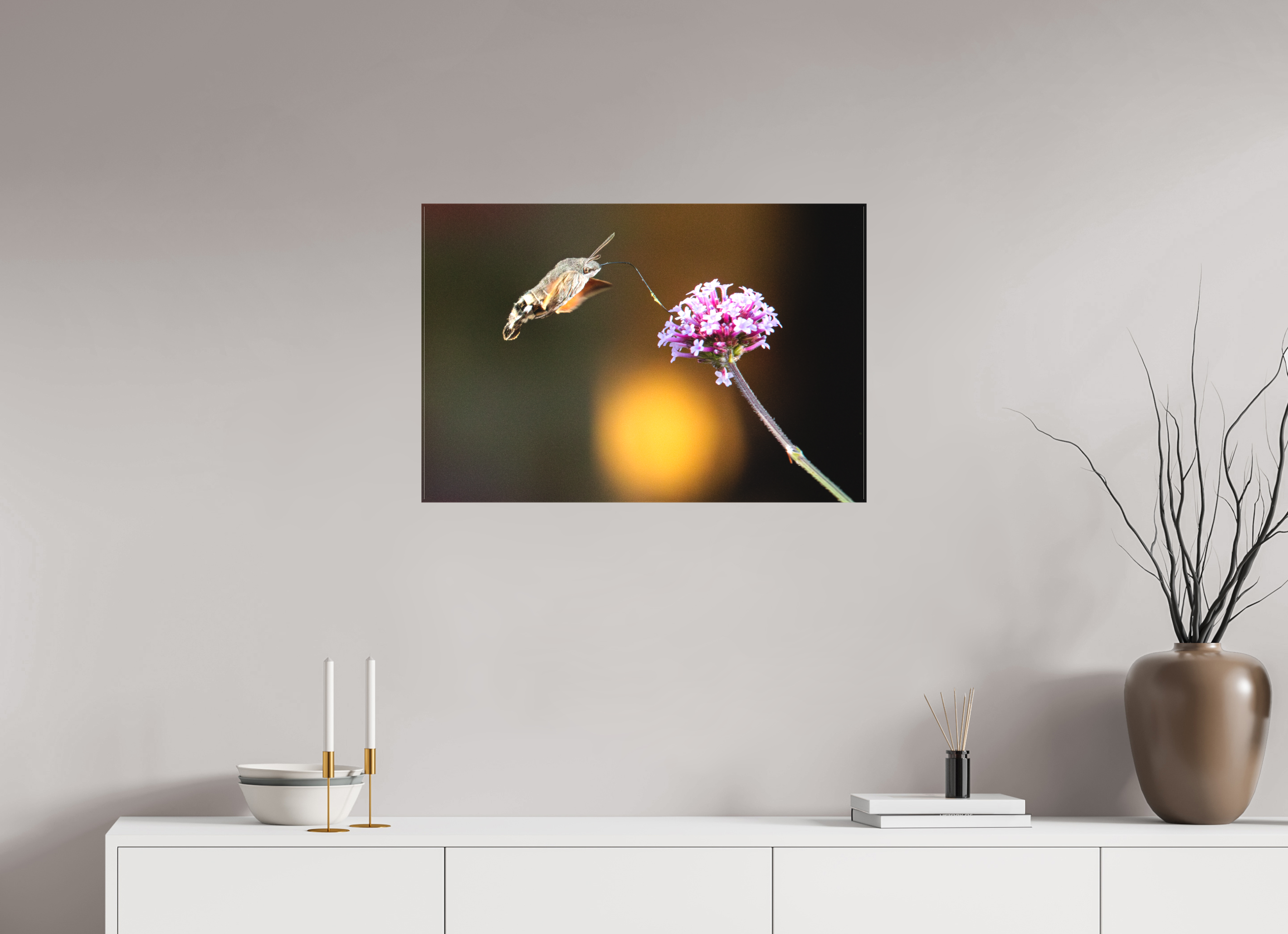 75 x 50 cm, Foto-Leinwand matt Taubenschwänzchen