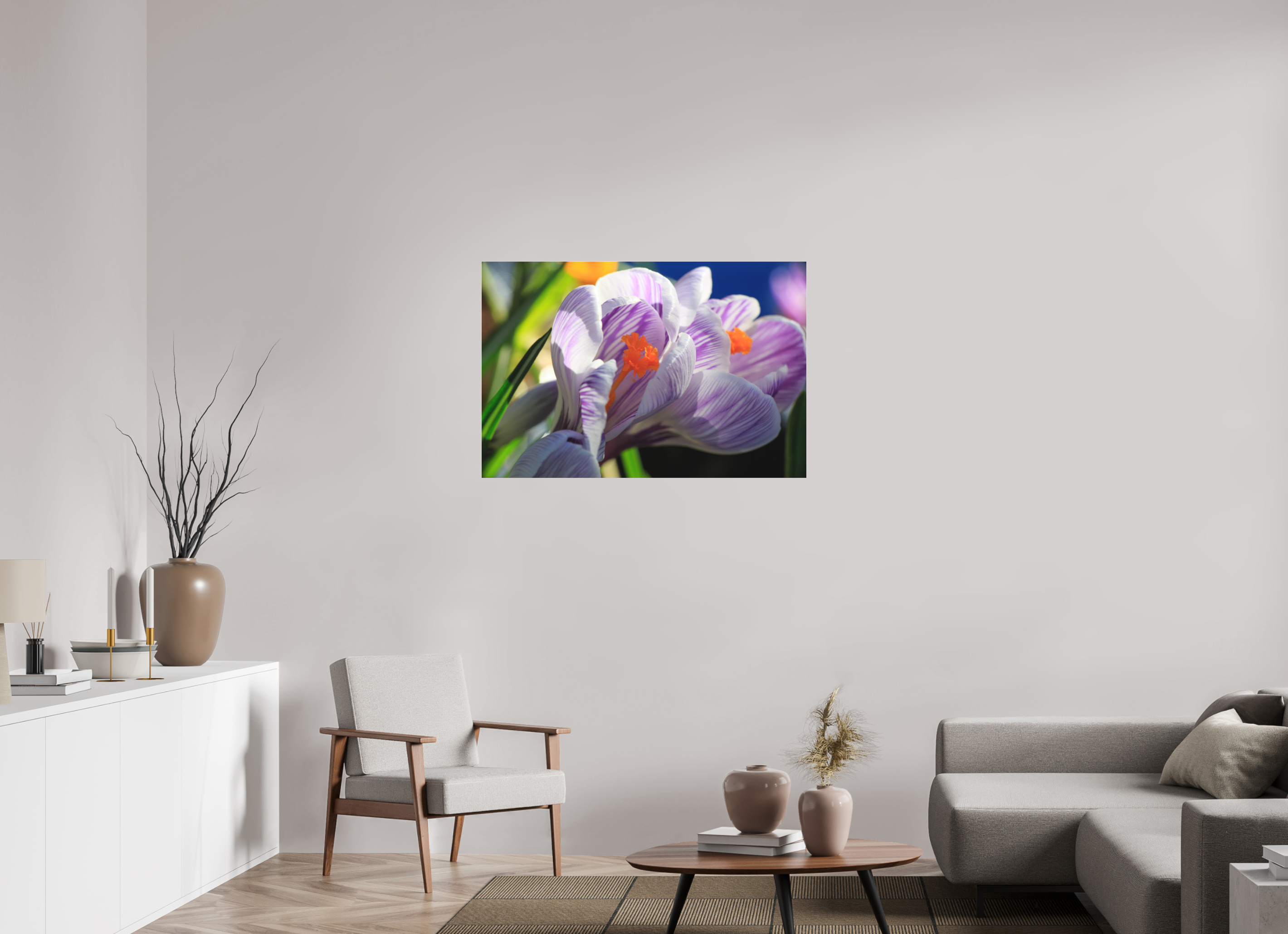 105 x 70 cm, Foto-Abzug hinter Acrylglas 3 mm matt Im Sonnenkuss: Krokusblüte im leuchtenden Lichtspiel
