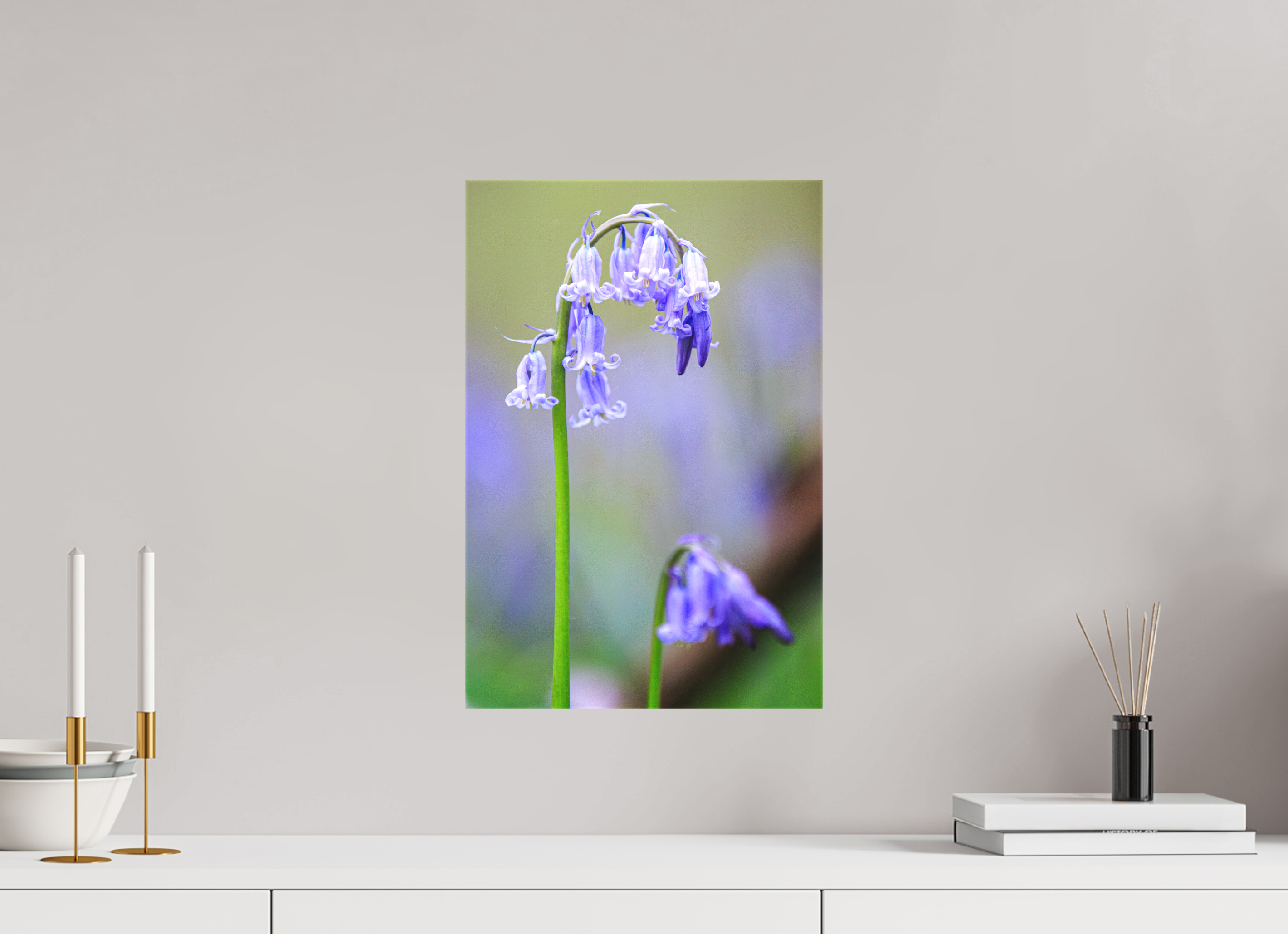 30 x 45 cm, Foto-Leinwand matt Zarte Poesie: Hasenglöckchen im Bokeh-Fokus