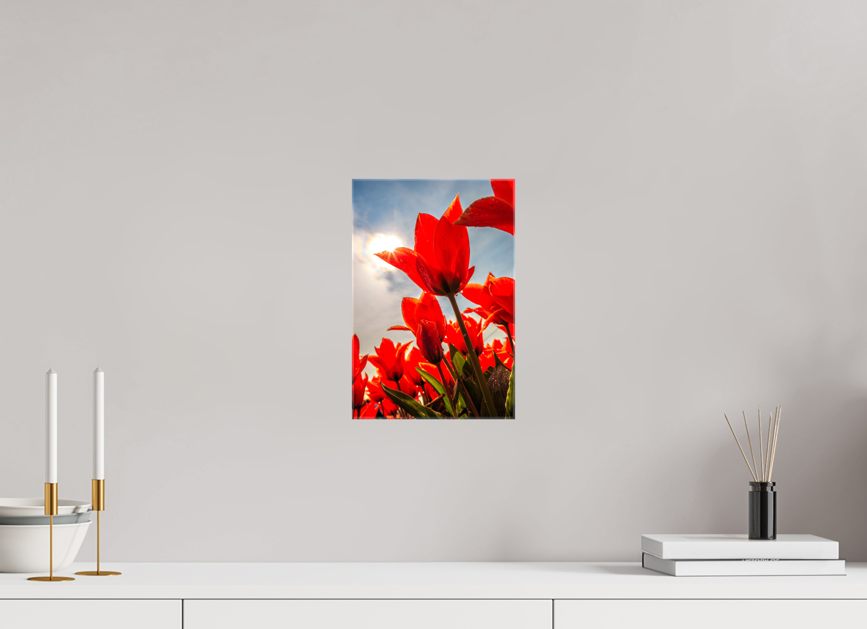 20 x 30 cm, Foto Leinwand glänzend Leuchtende Kelche: Offene Tulpen im Sonnenlicht
